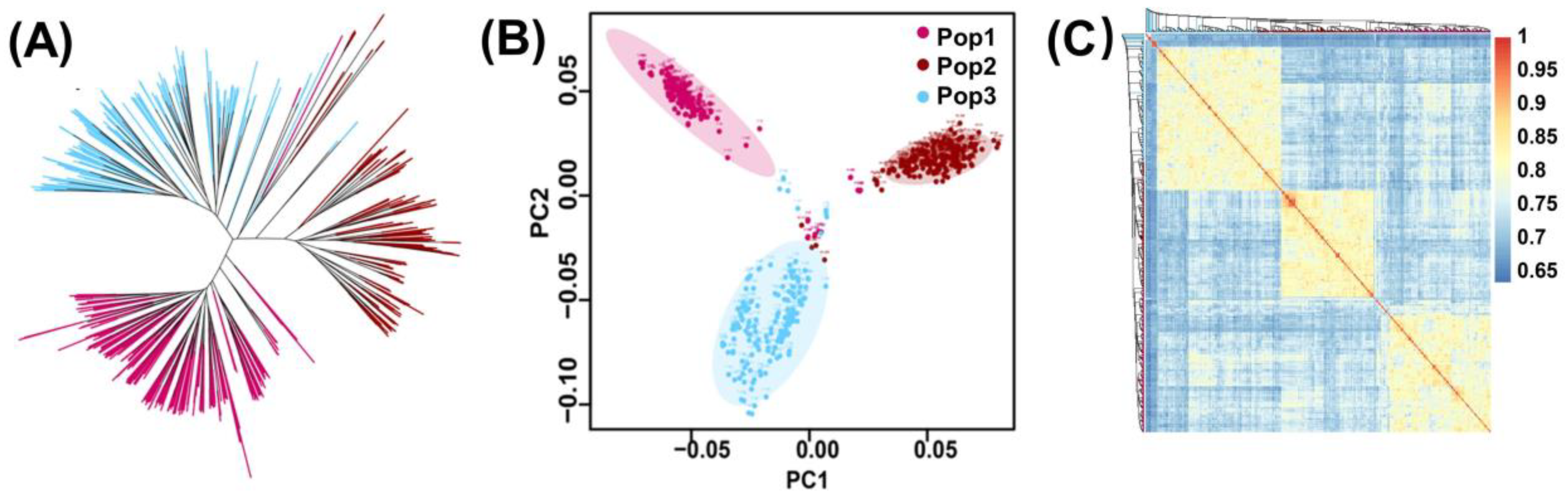 Plants 13 01410 g004