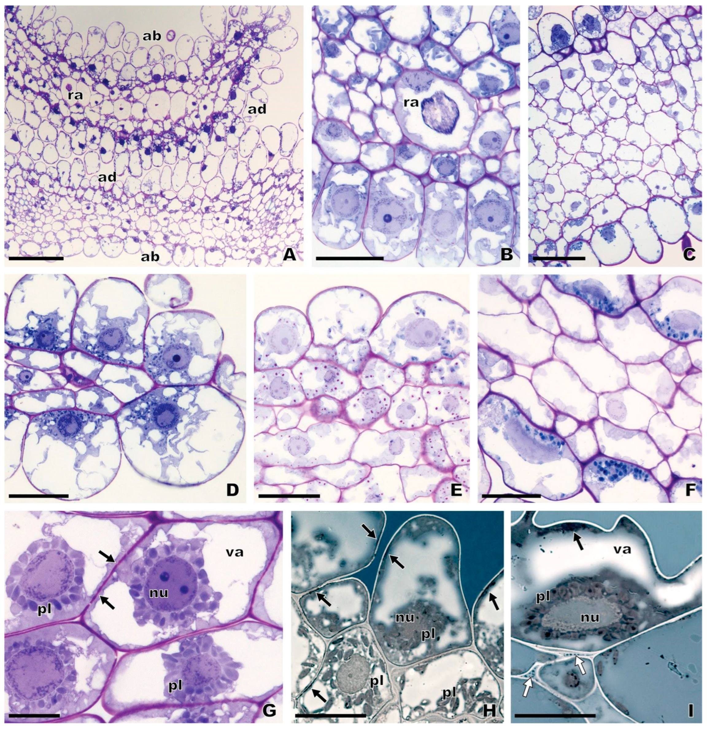 Plants 13 01413 g006