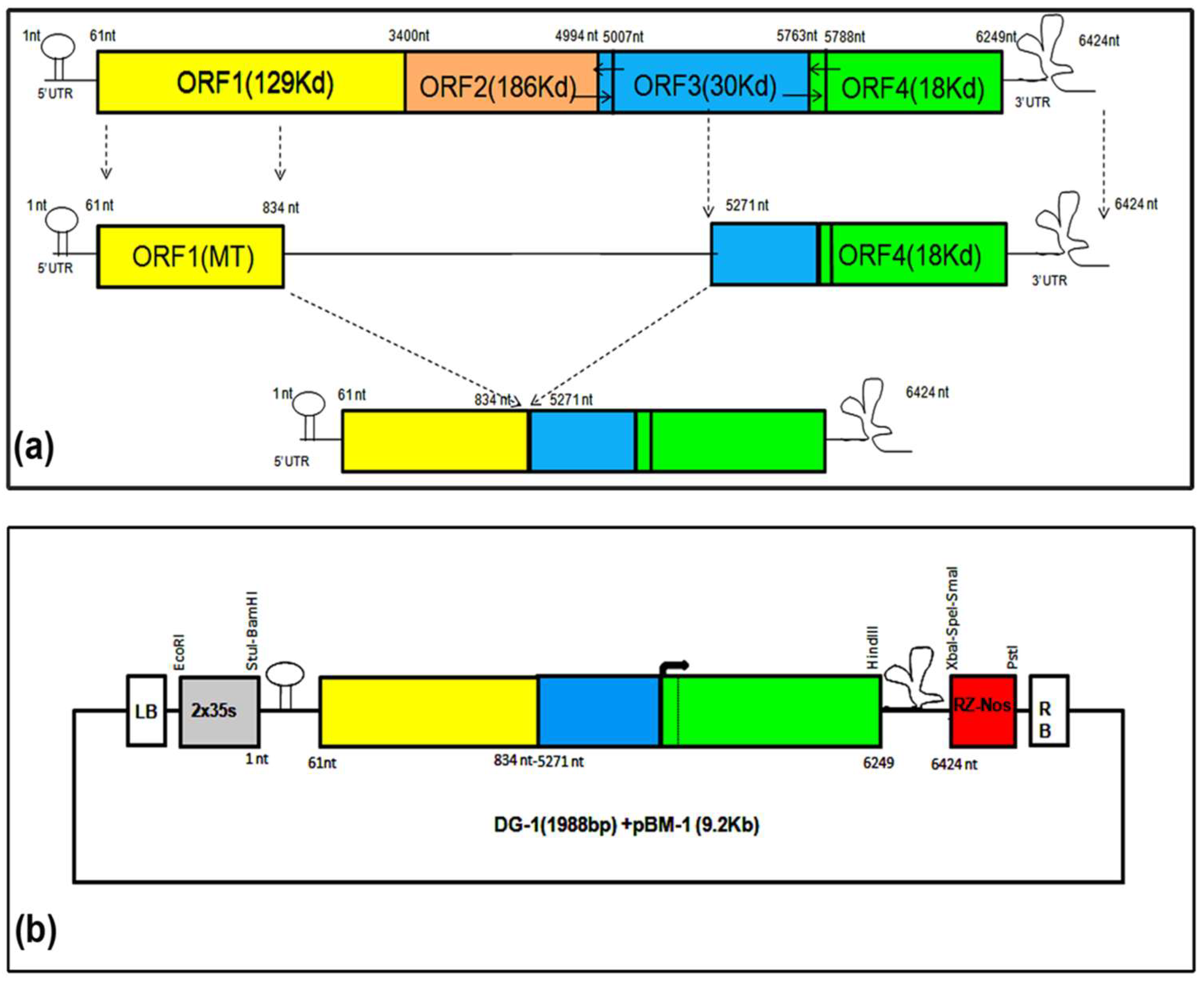 Plants 13 01414 g001