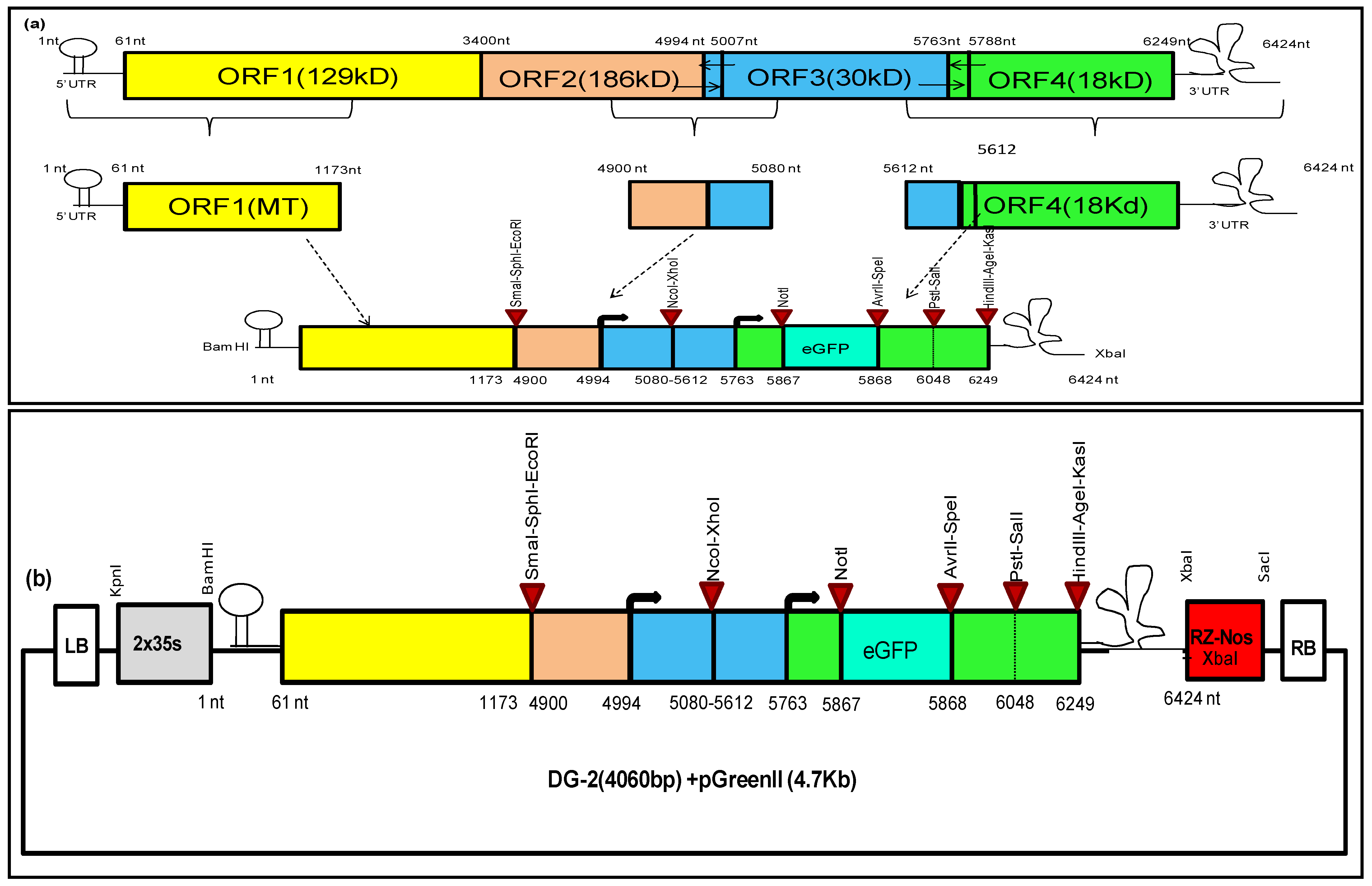 Plants 13 01414 g002
