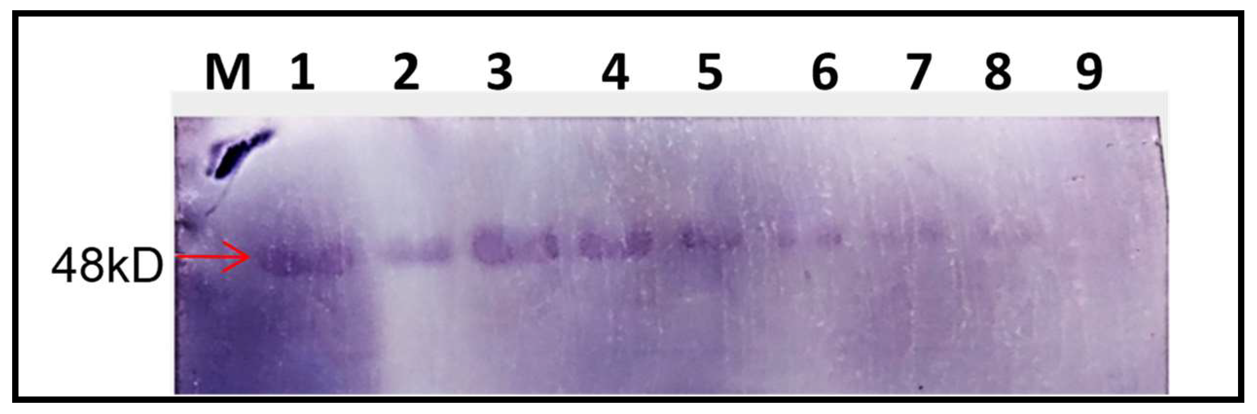 Plants 13 01414 g009