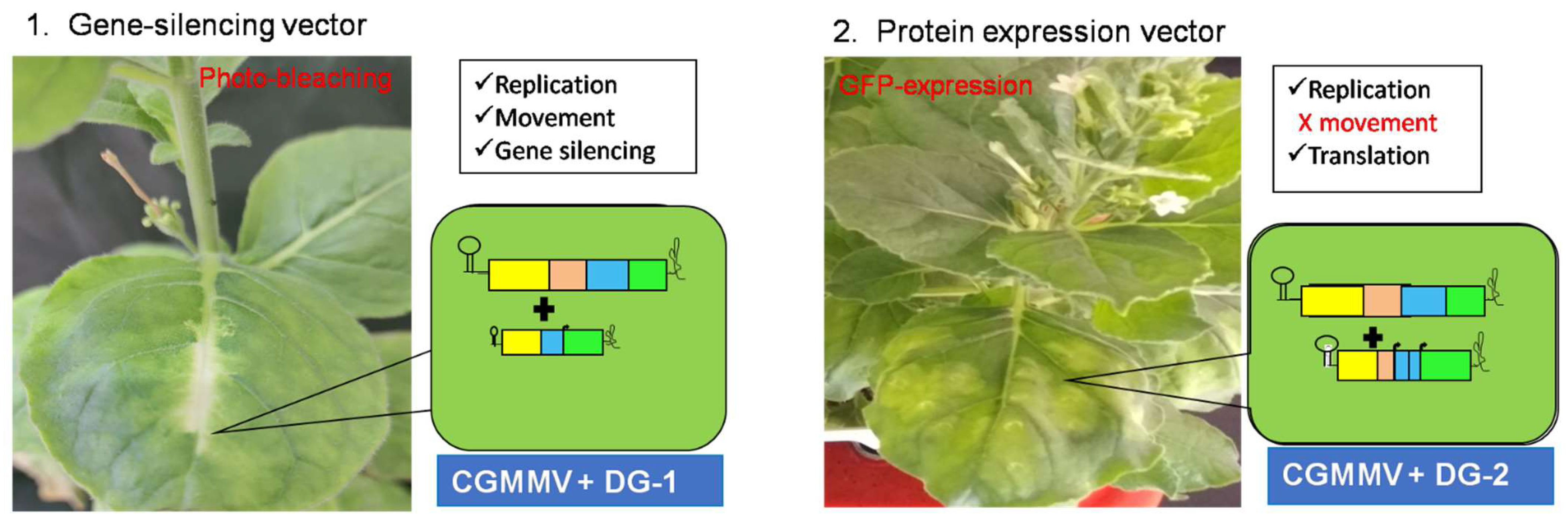 Plants 13 01414 g010
