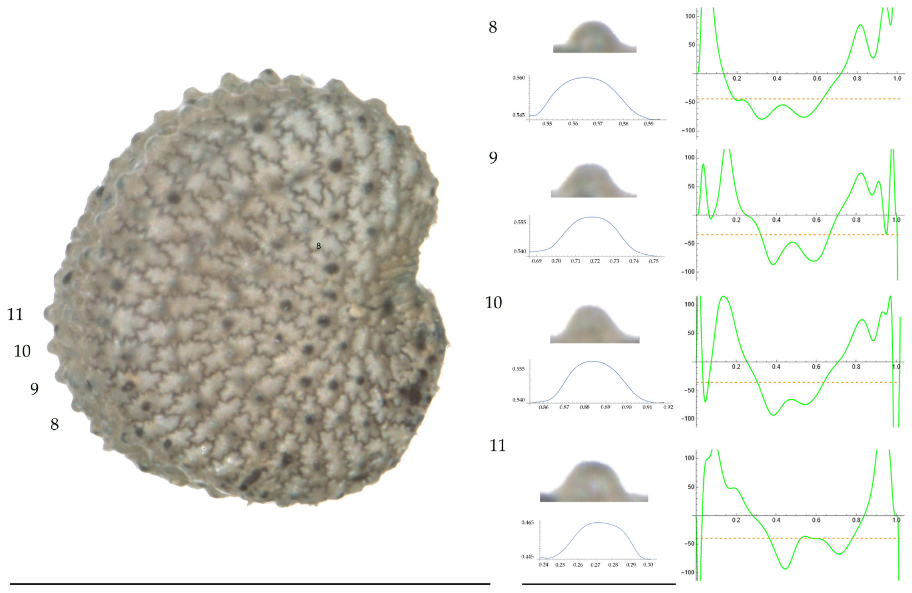 Plants 13 01416 g002