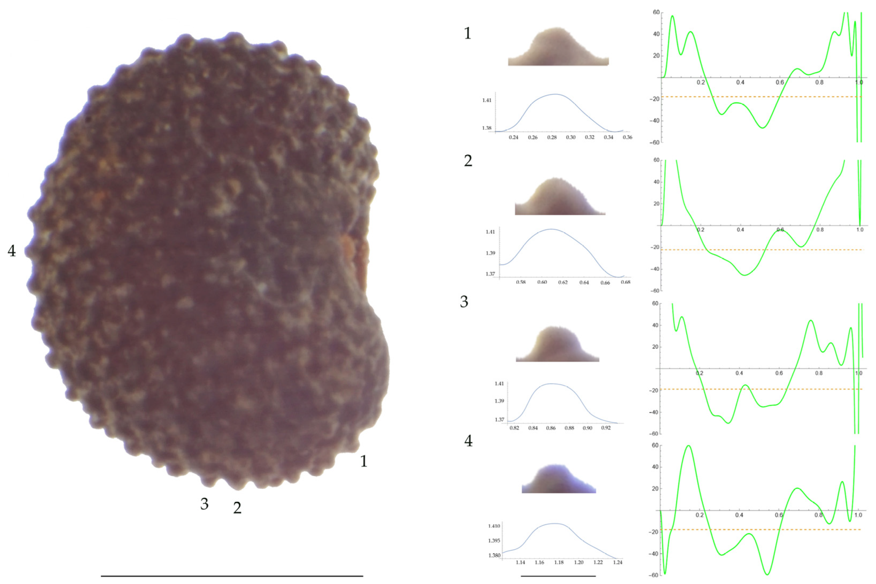 Plants 13 01416 g004