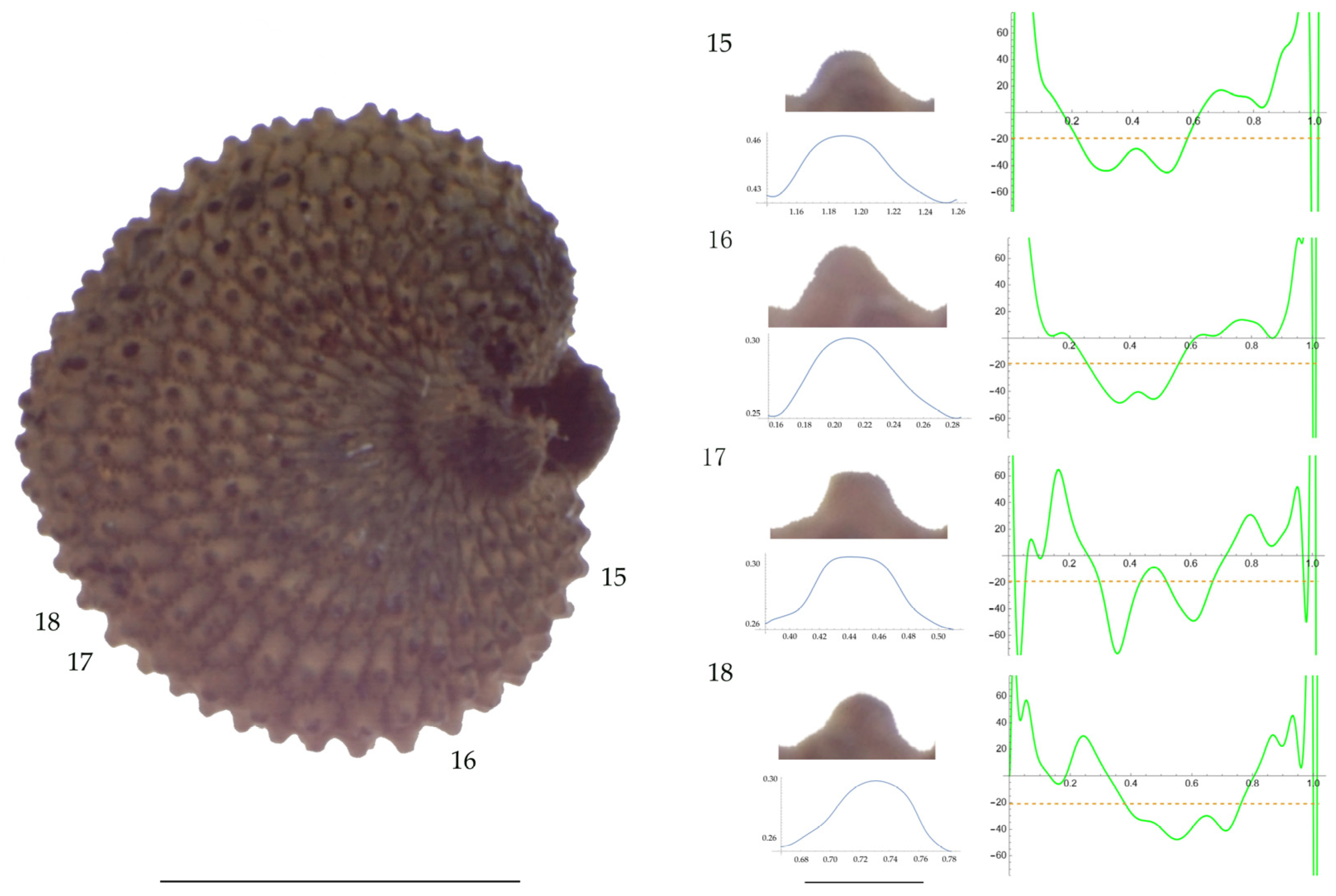 Plants 13 01416 g007