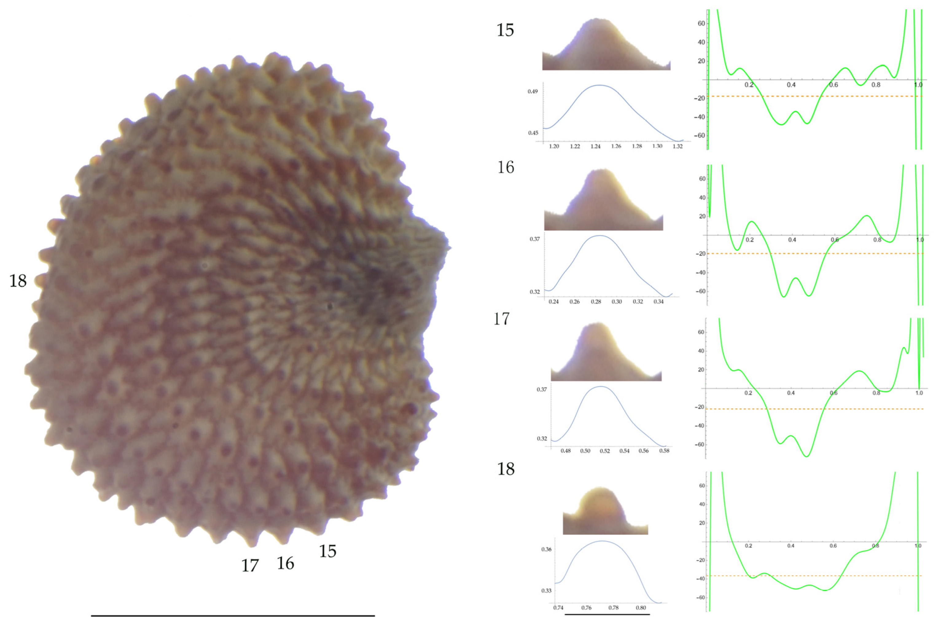 Plants 13 01416 g008