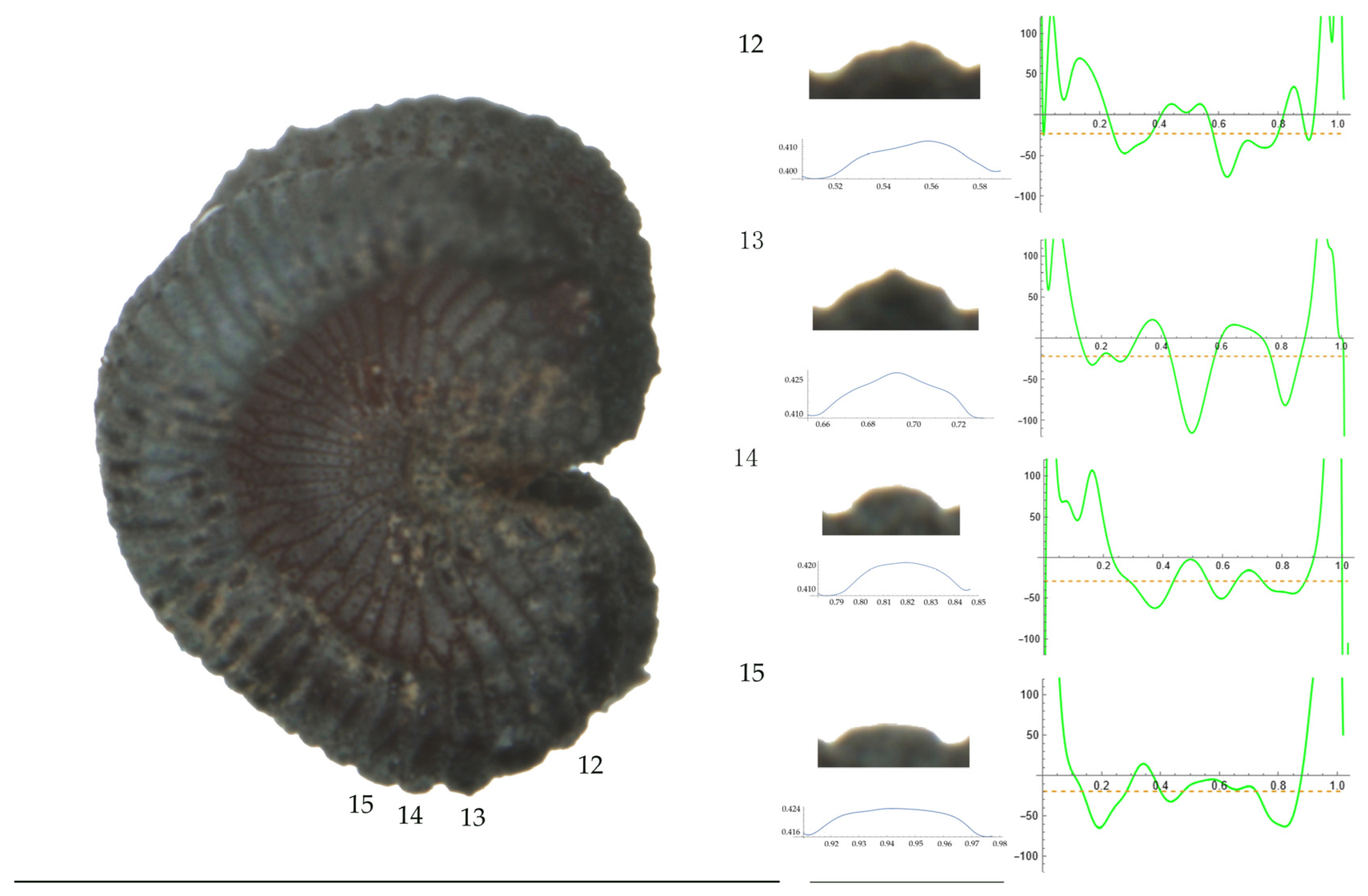 Plants 13 01416 g009