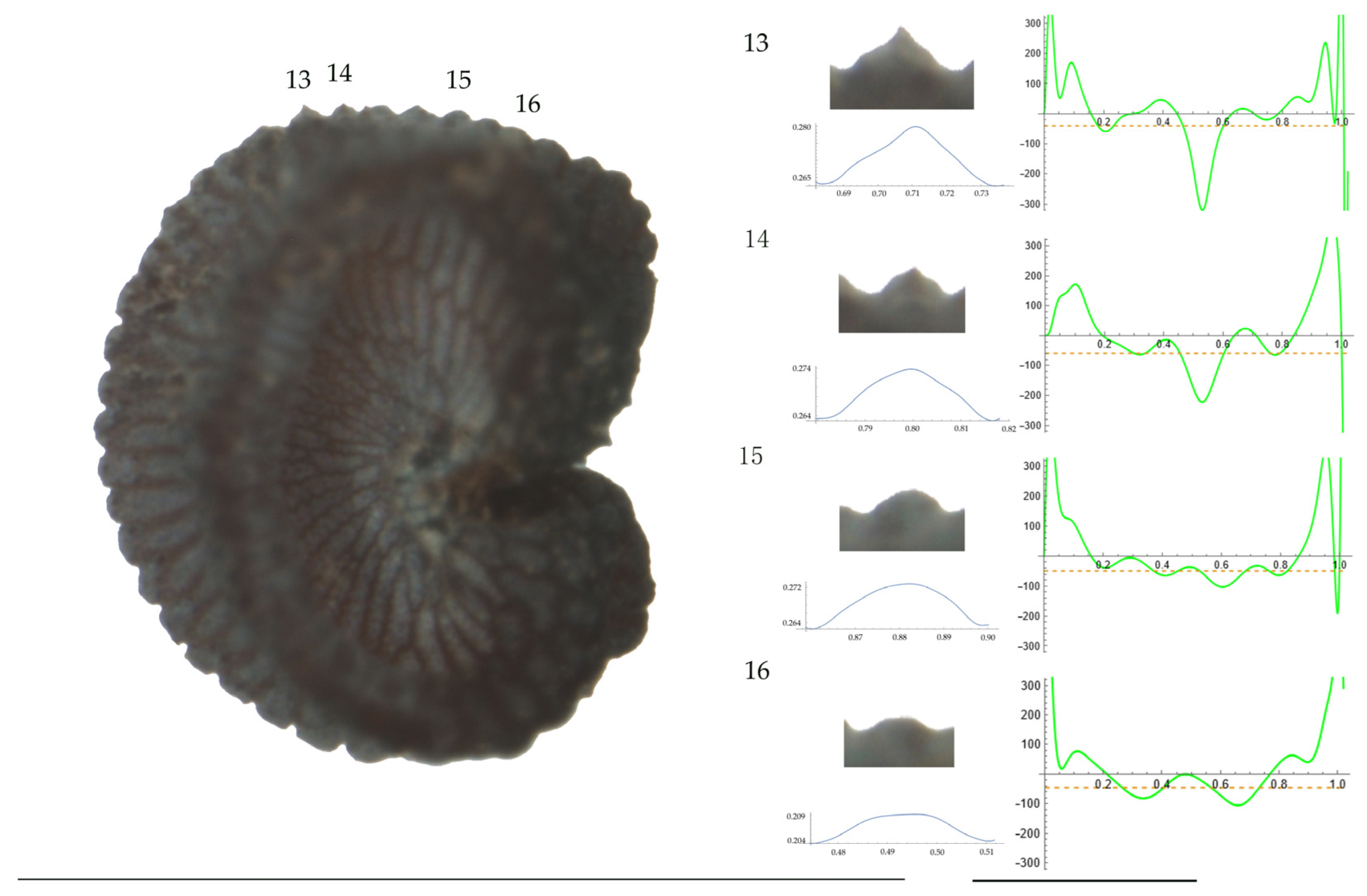 Plants 13 01416 g010