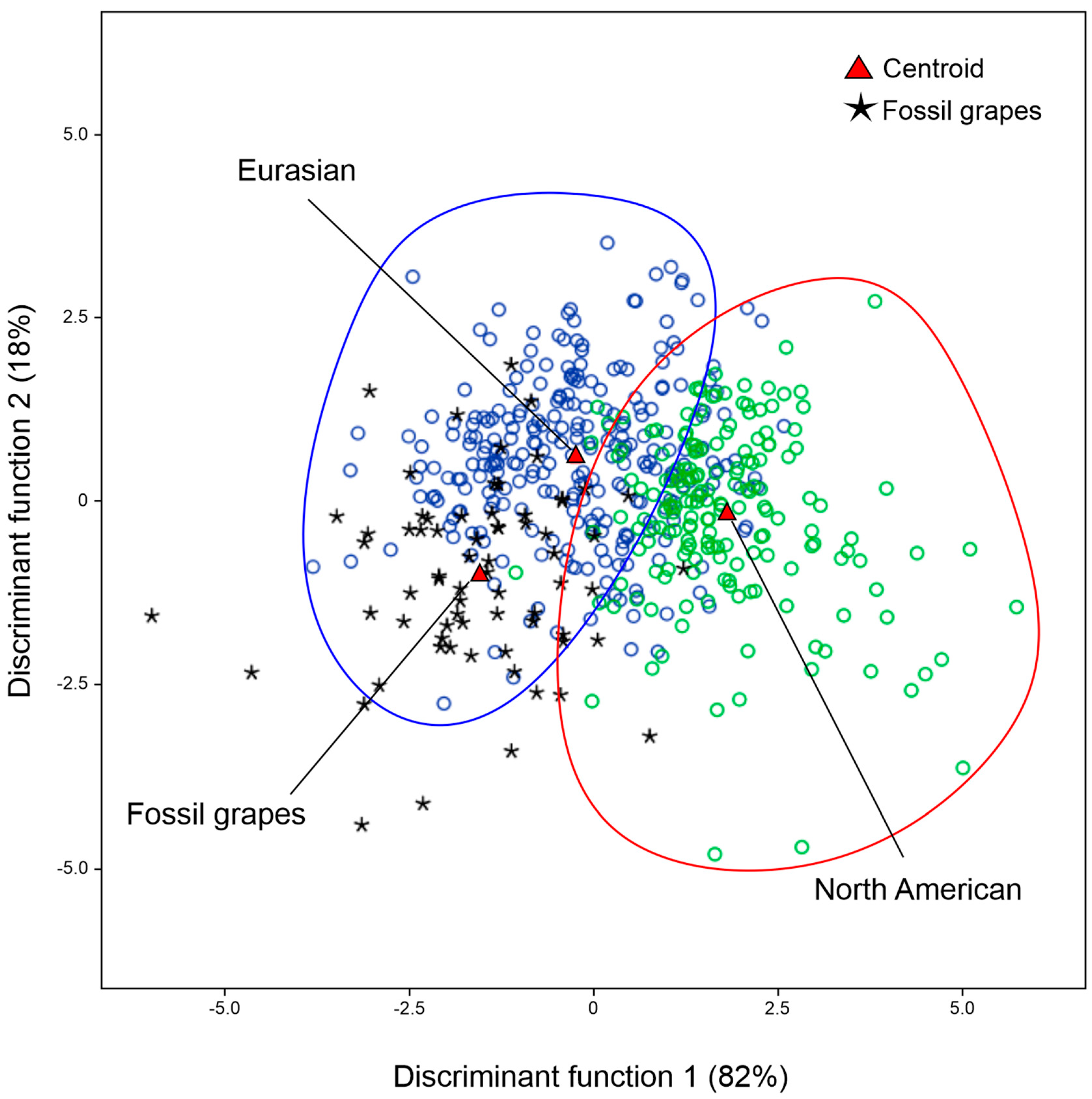 Plants 13 01417 g003
