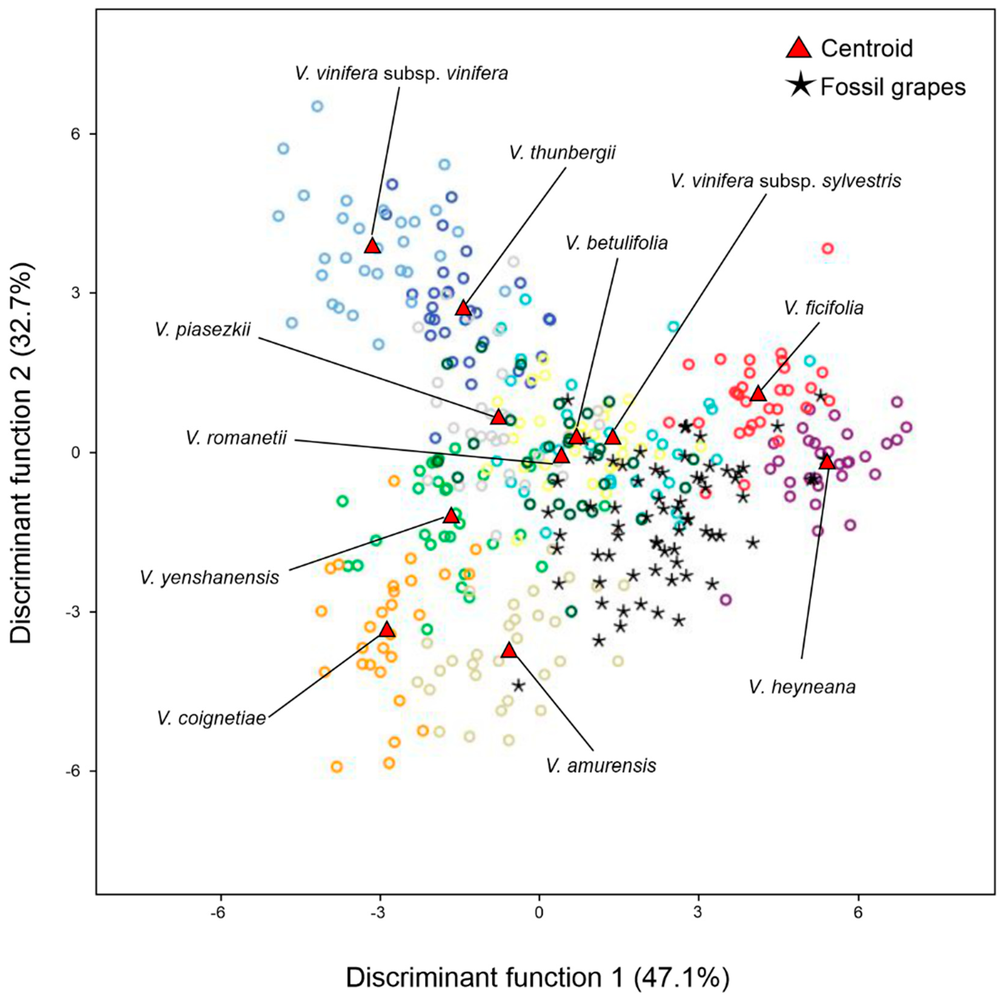 Plants 13 01417 g004