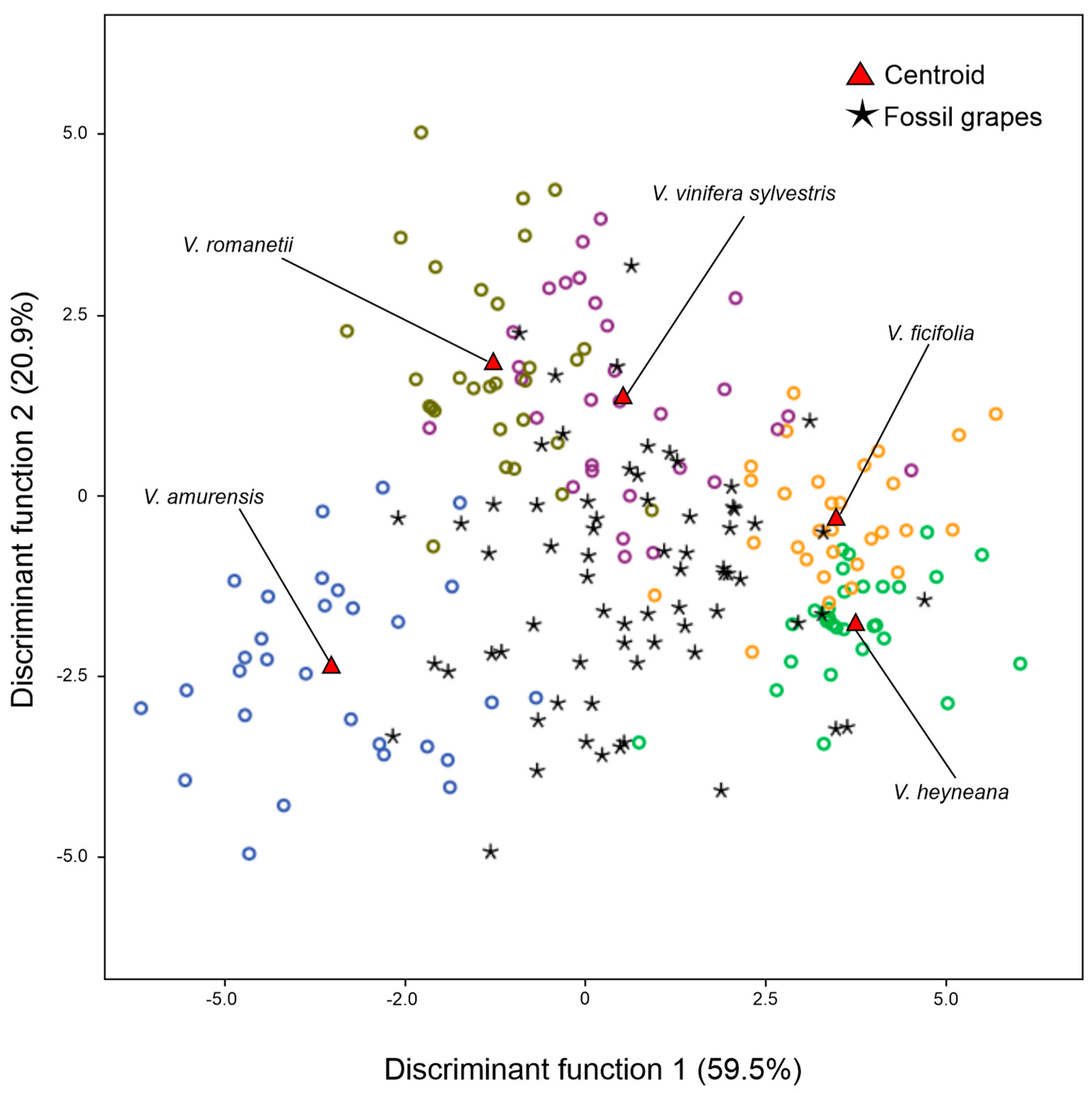 Plants 13 01417 g005