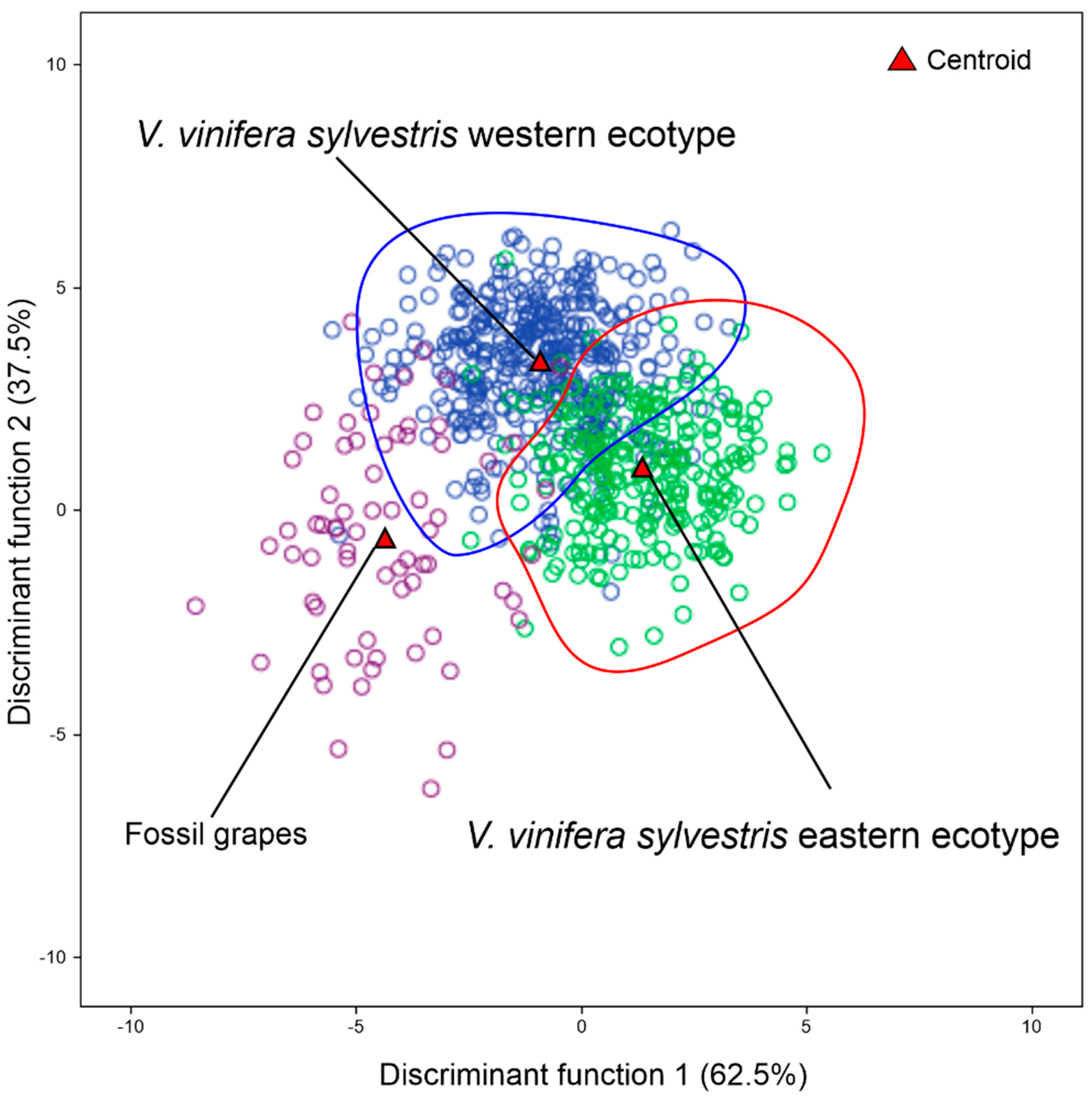 Plants 13 01417 g007