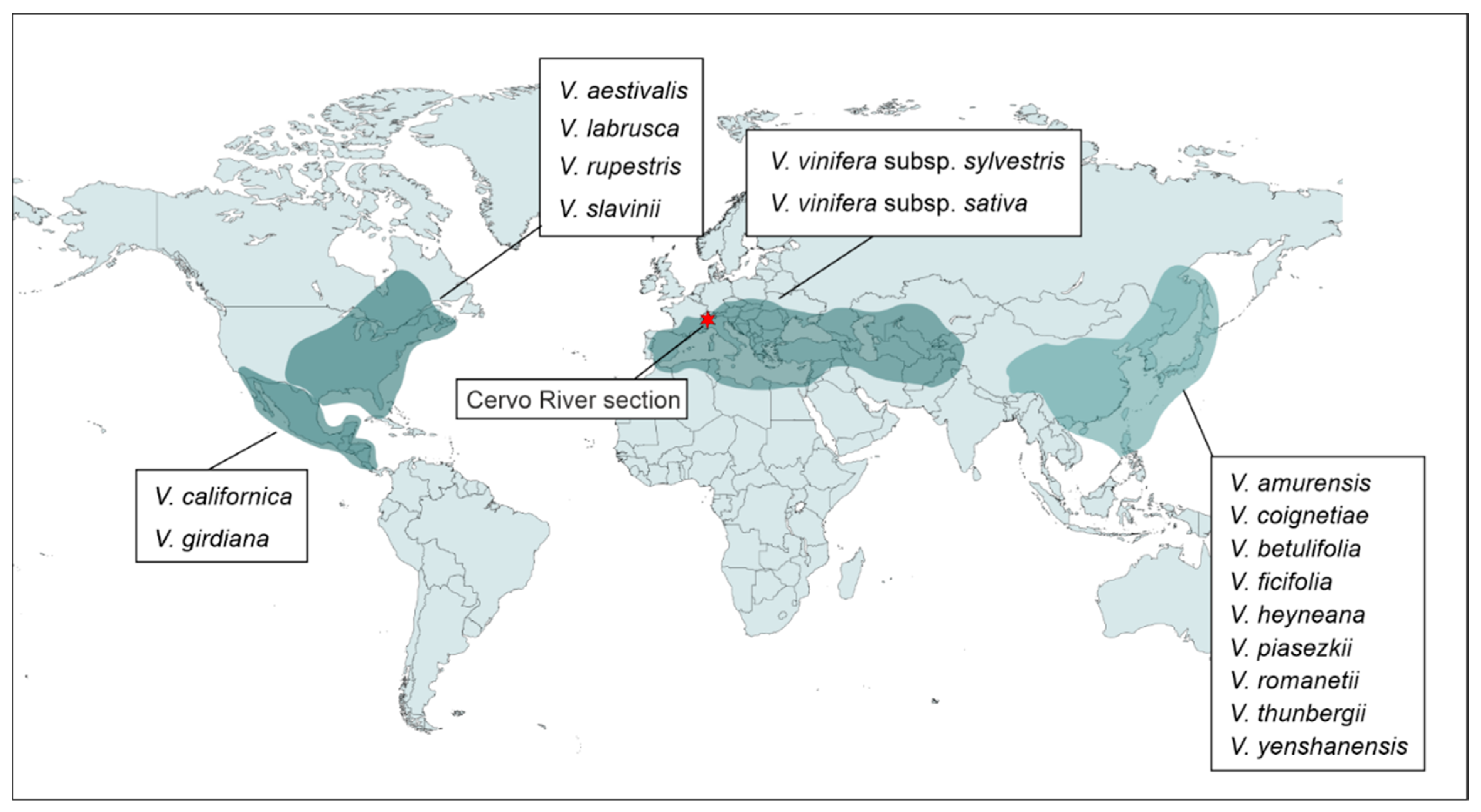 Plants 13 01417 g008