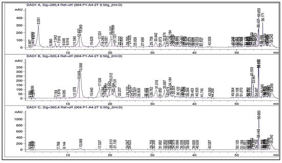 Plants 13 01418 g0a5