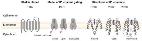Plants 13 01423 g001