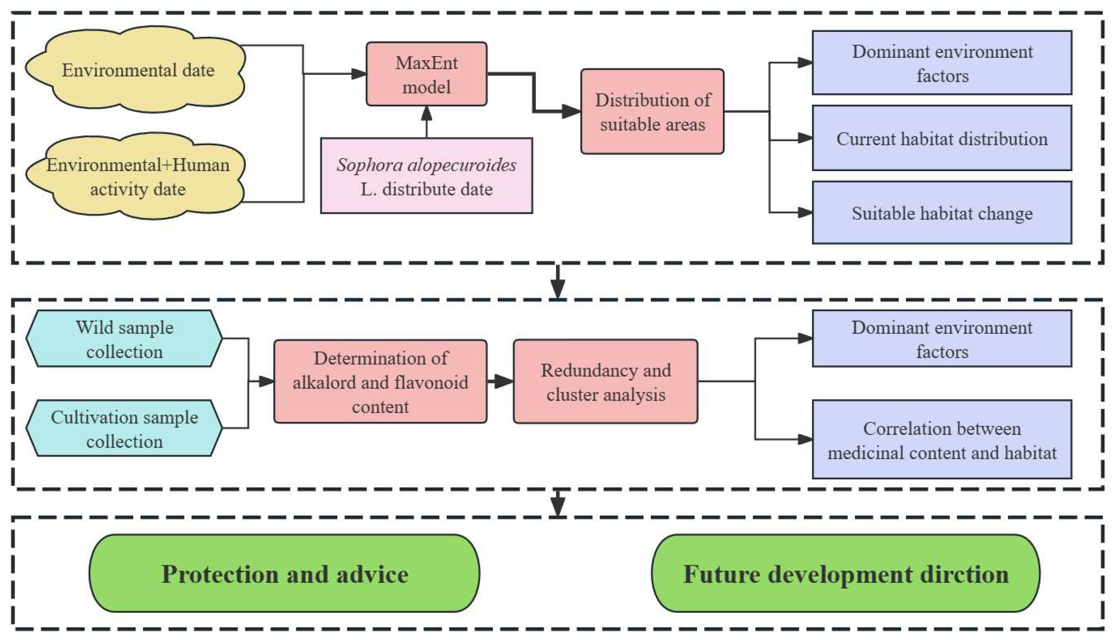 Plants 13 01424 g002