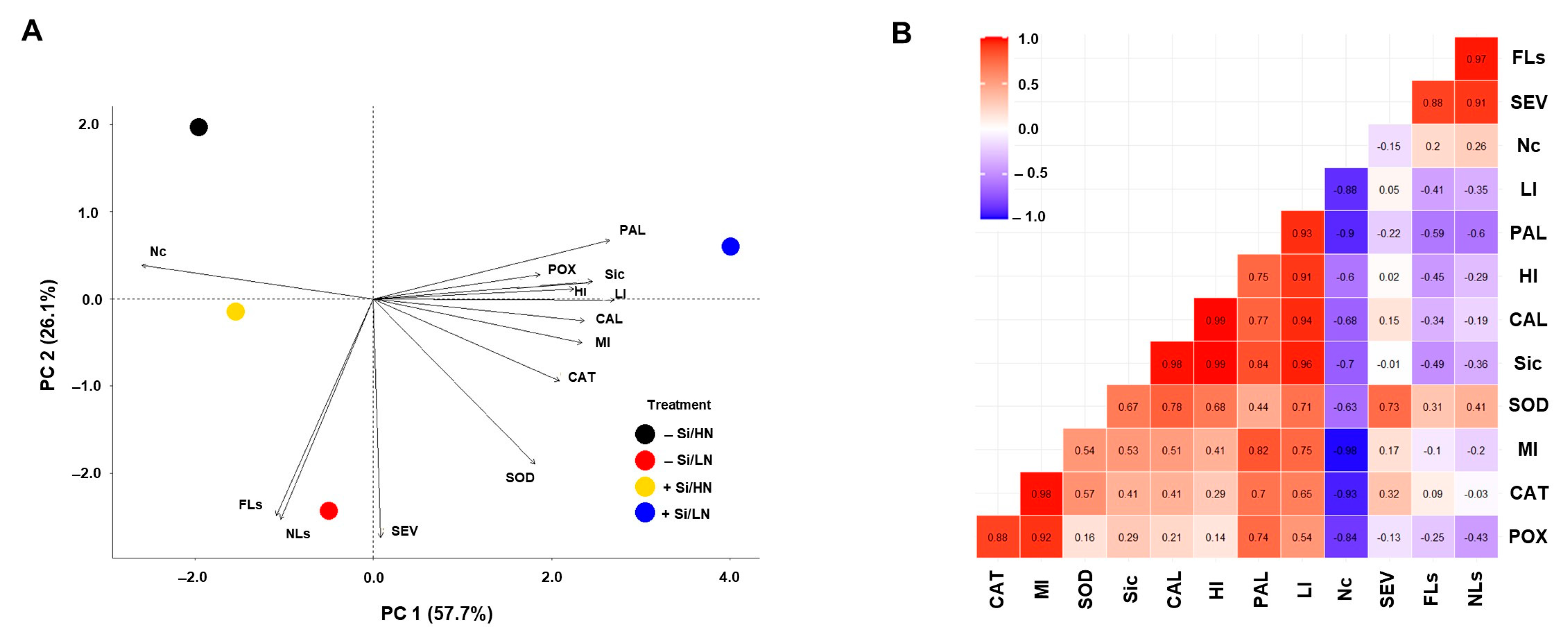 Plants 13 01426 g003