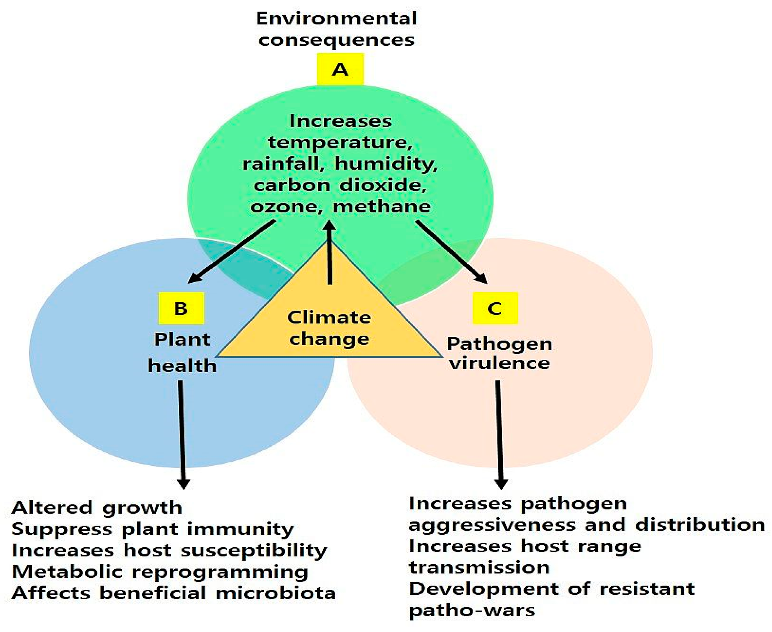 Plants 13 01434 g001
