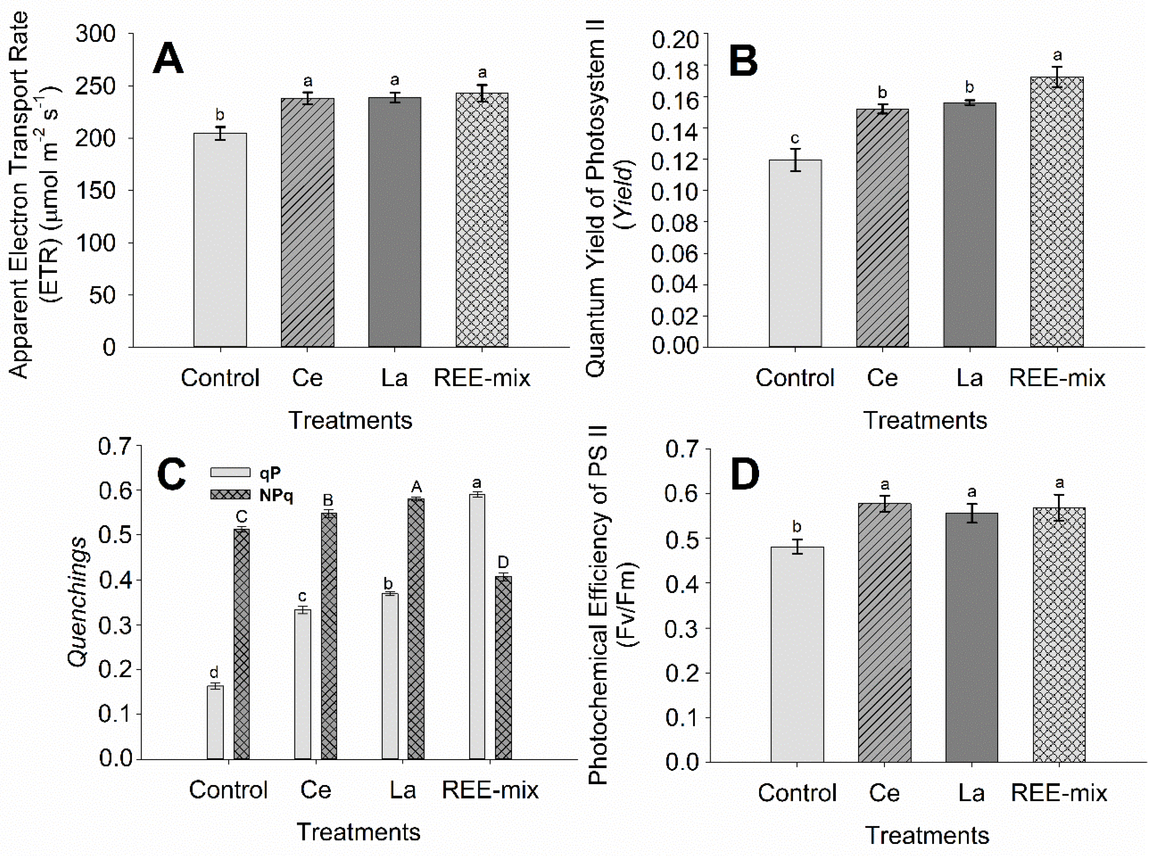 Plants 13 01435 g001