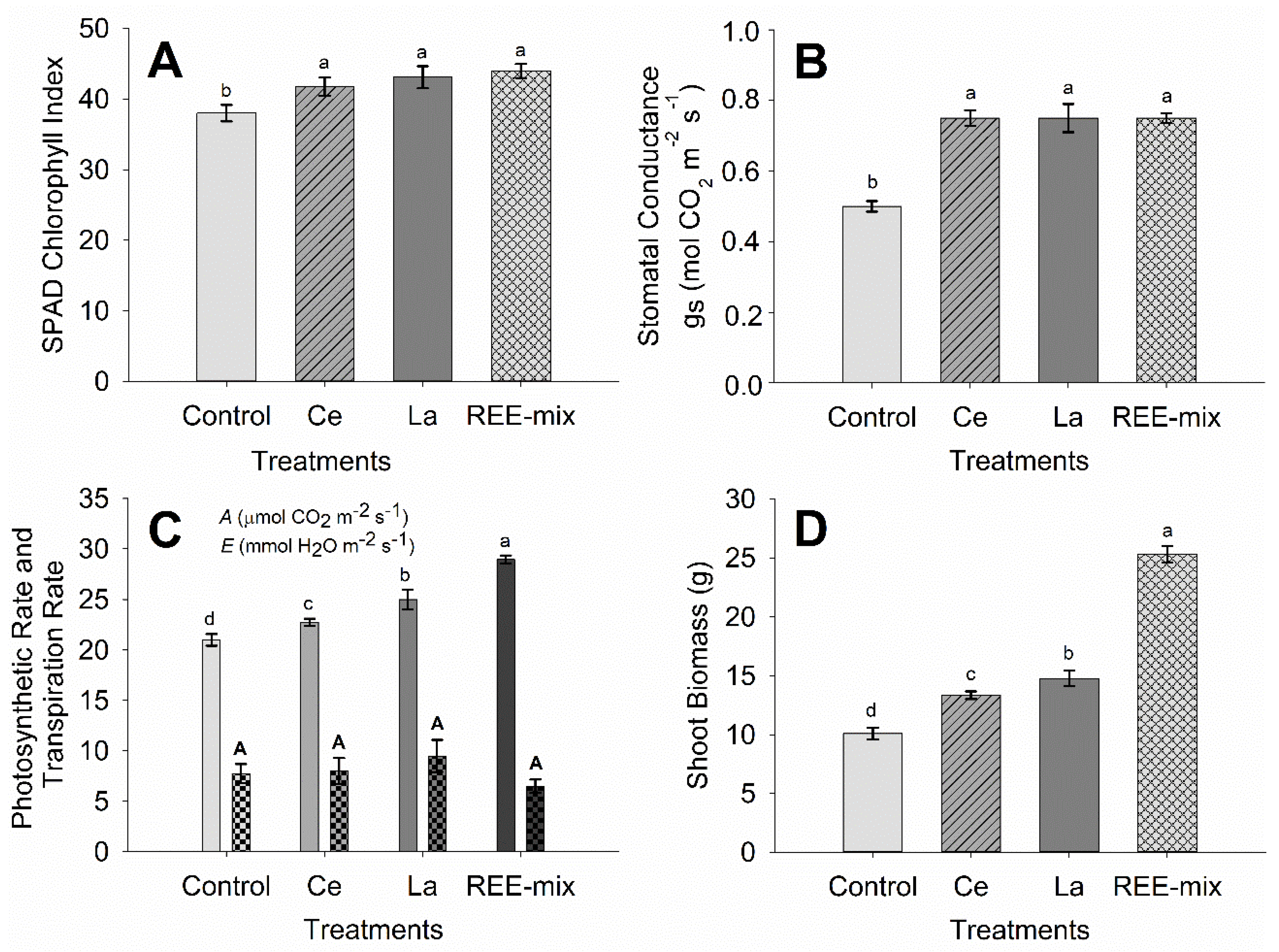 Plants 13 01435 g002