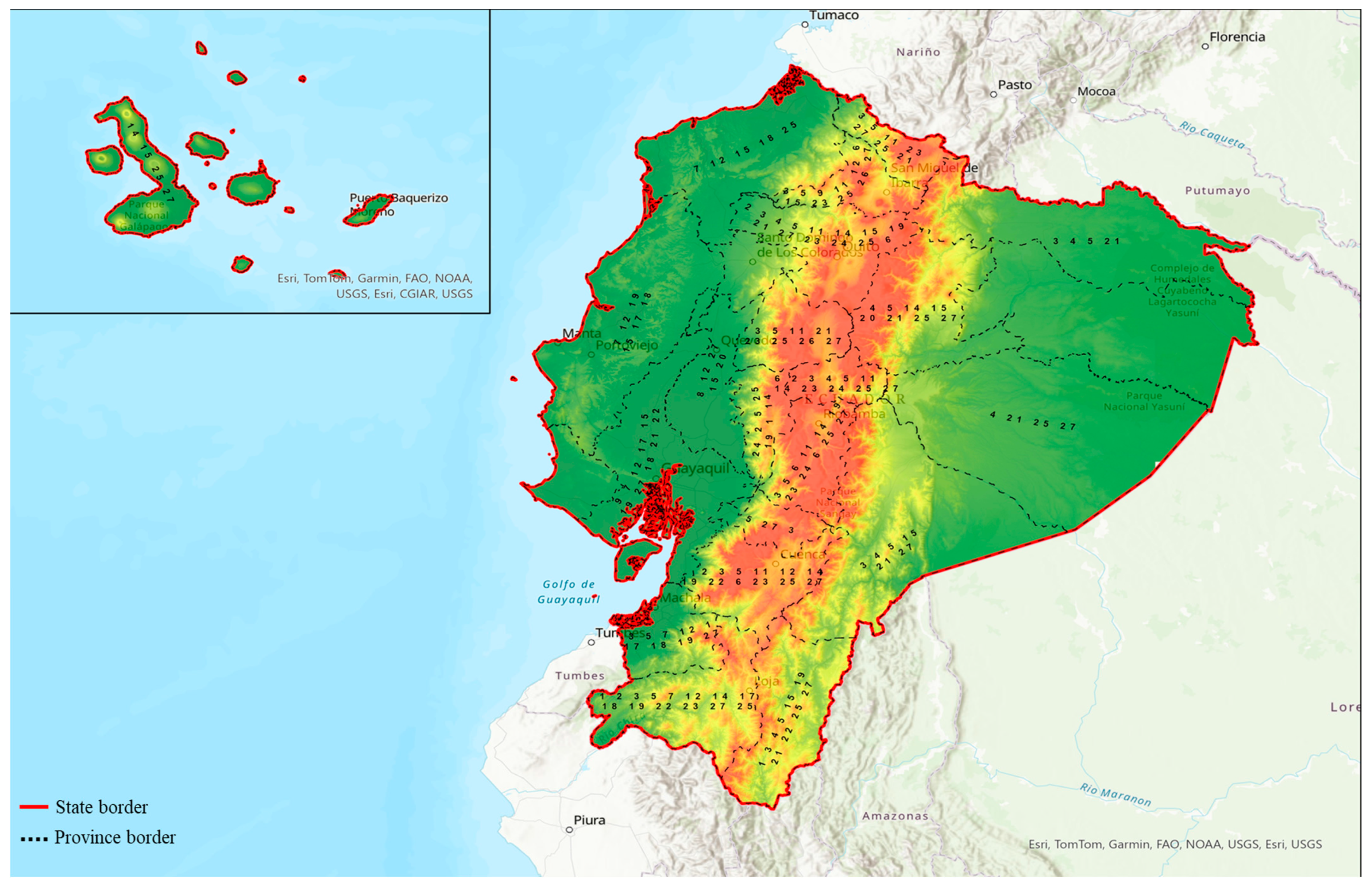 Plants 13 01436 g002