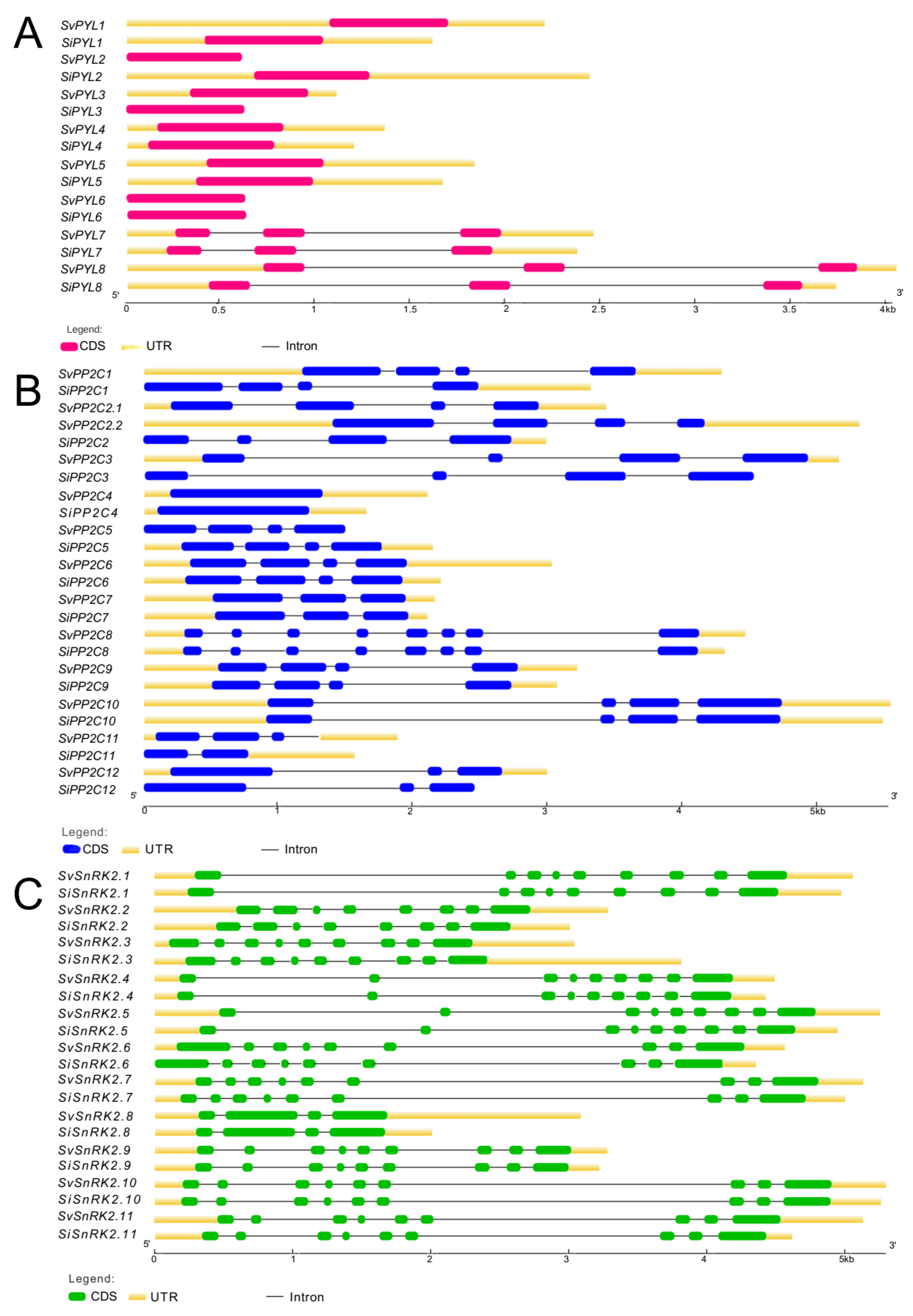 Plants 13 01451 g002