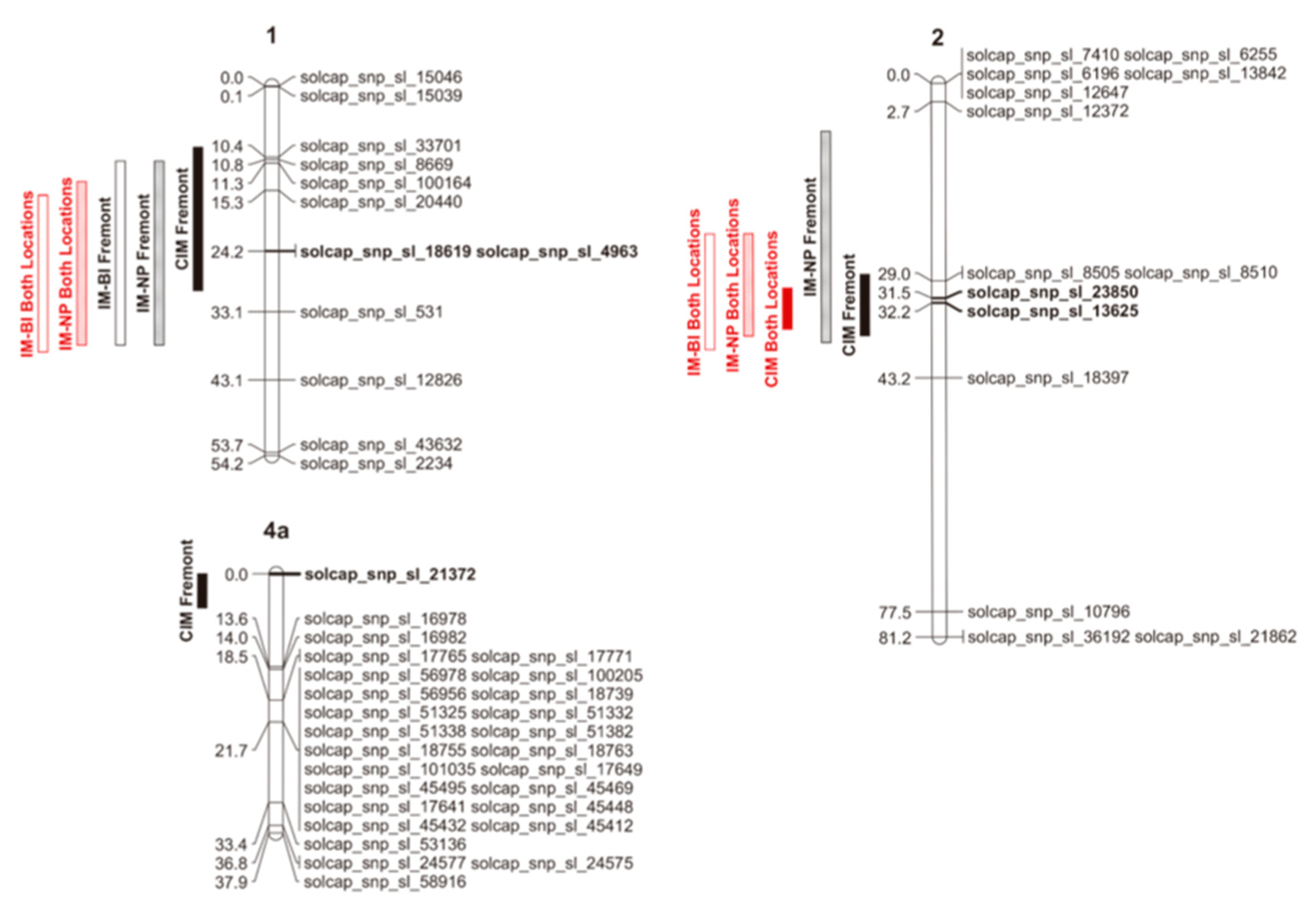 Plants 13 01454 g002