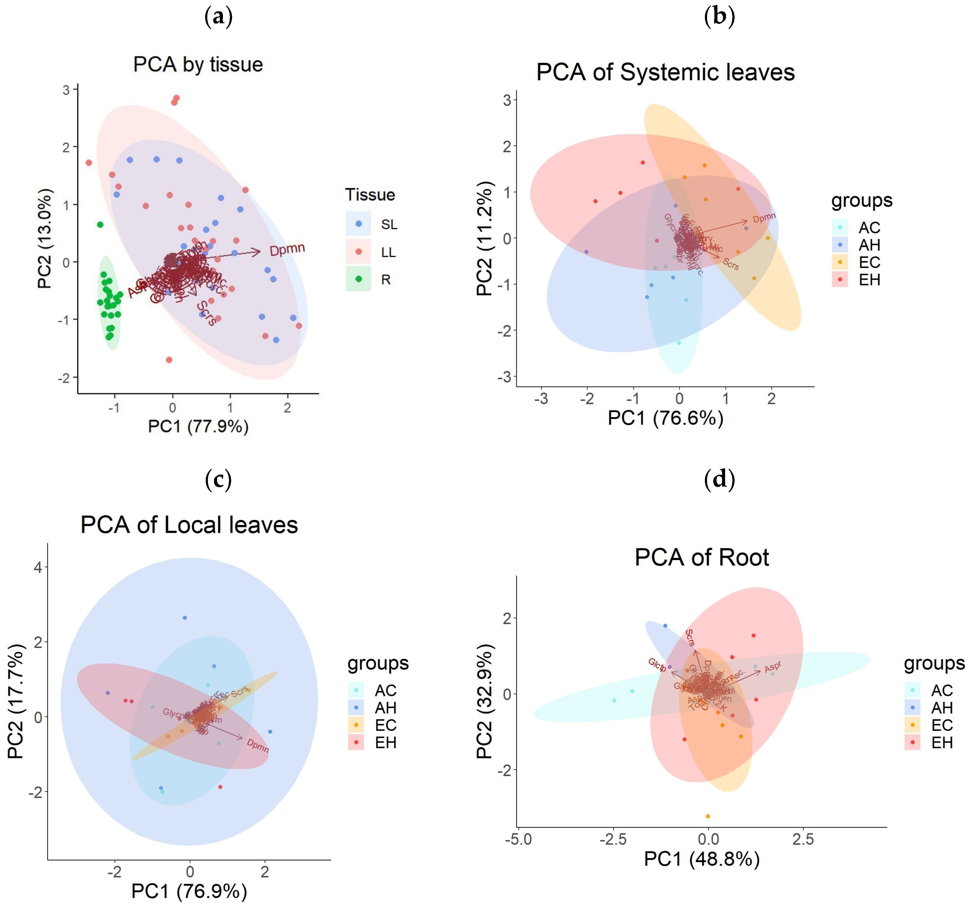 Plants 13 01456 g003