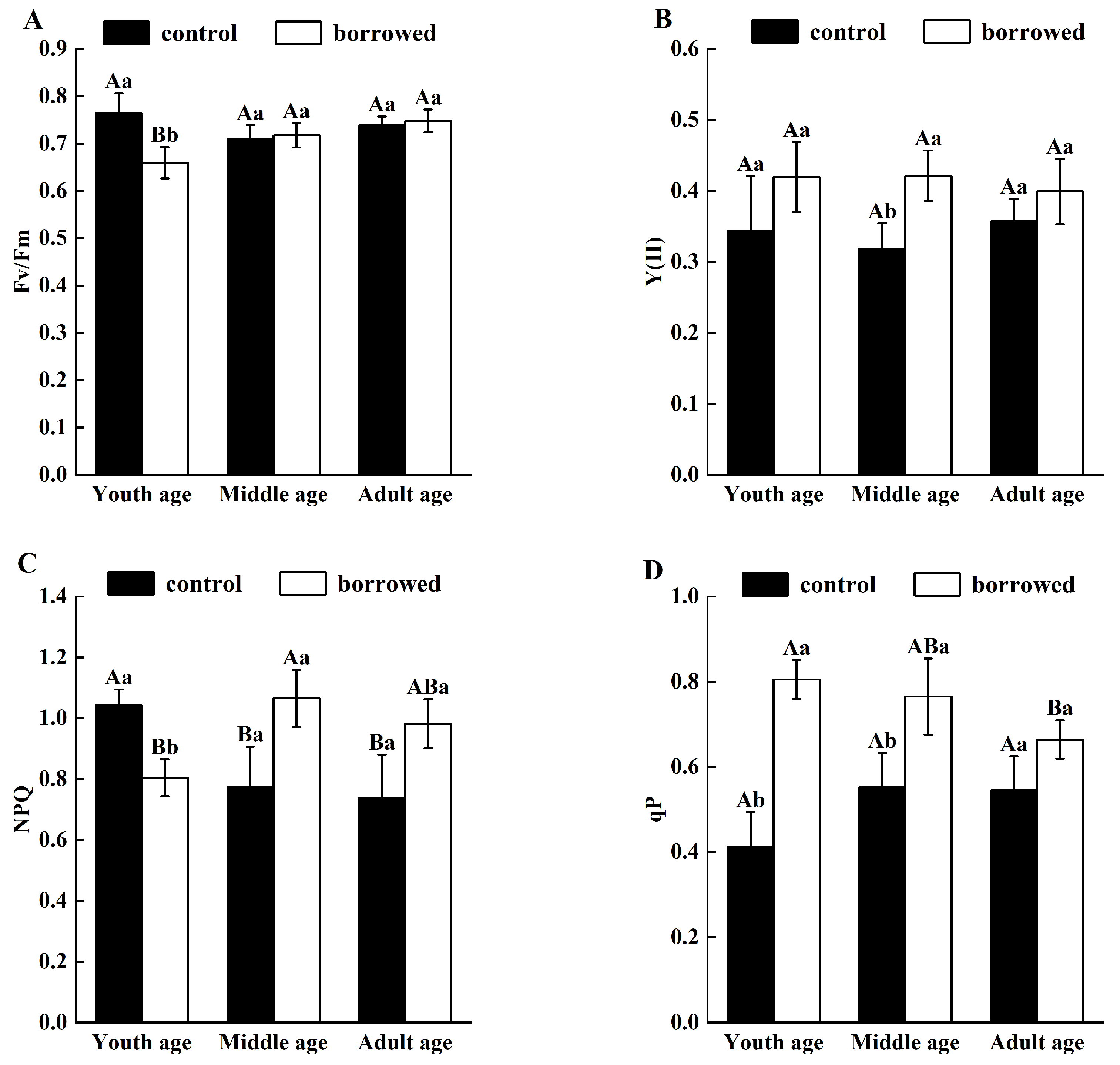 Plants 13 01457 g003