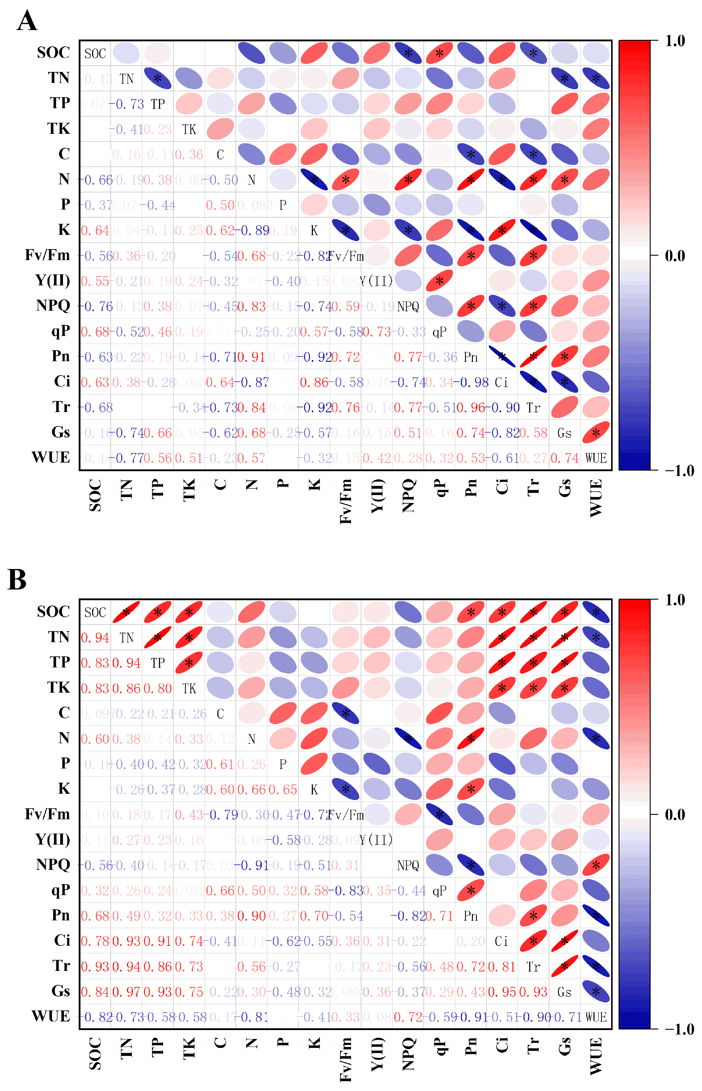 Plants 13 01457 g006