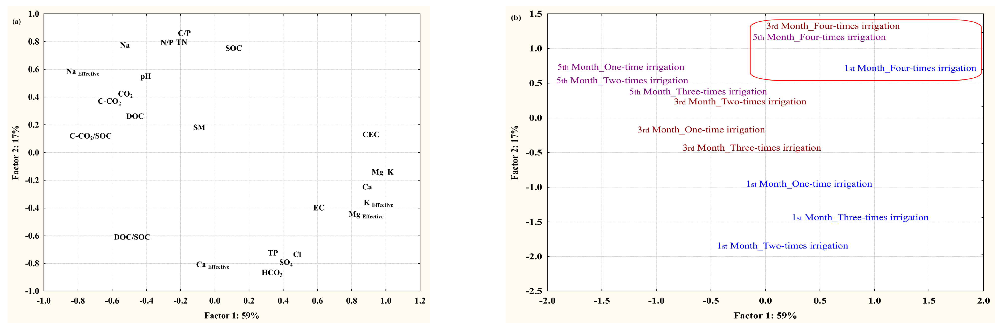 Plants 13 01462 g002