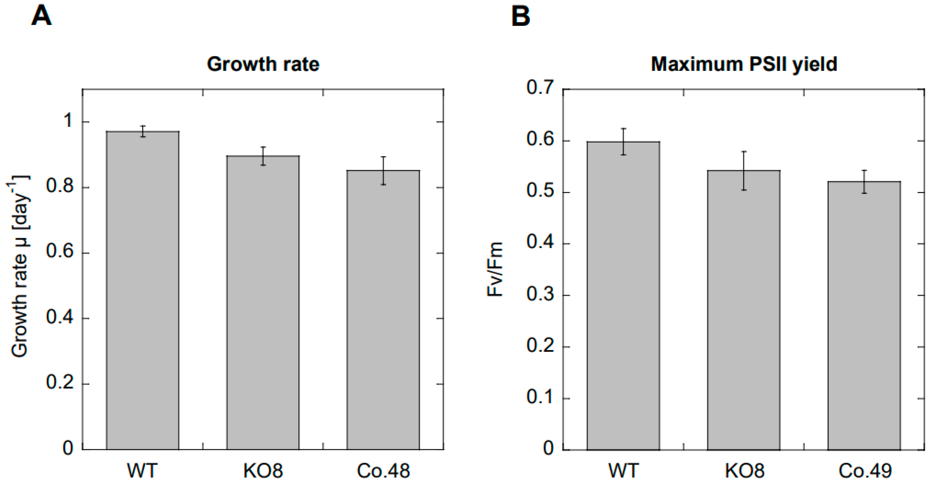 Plants 13 01465 g001