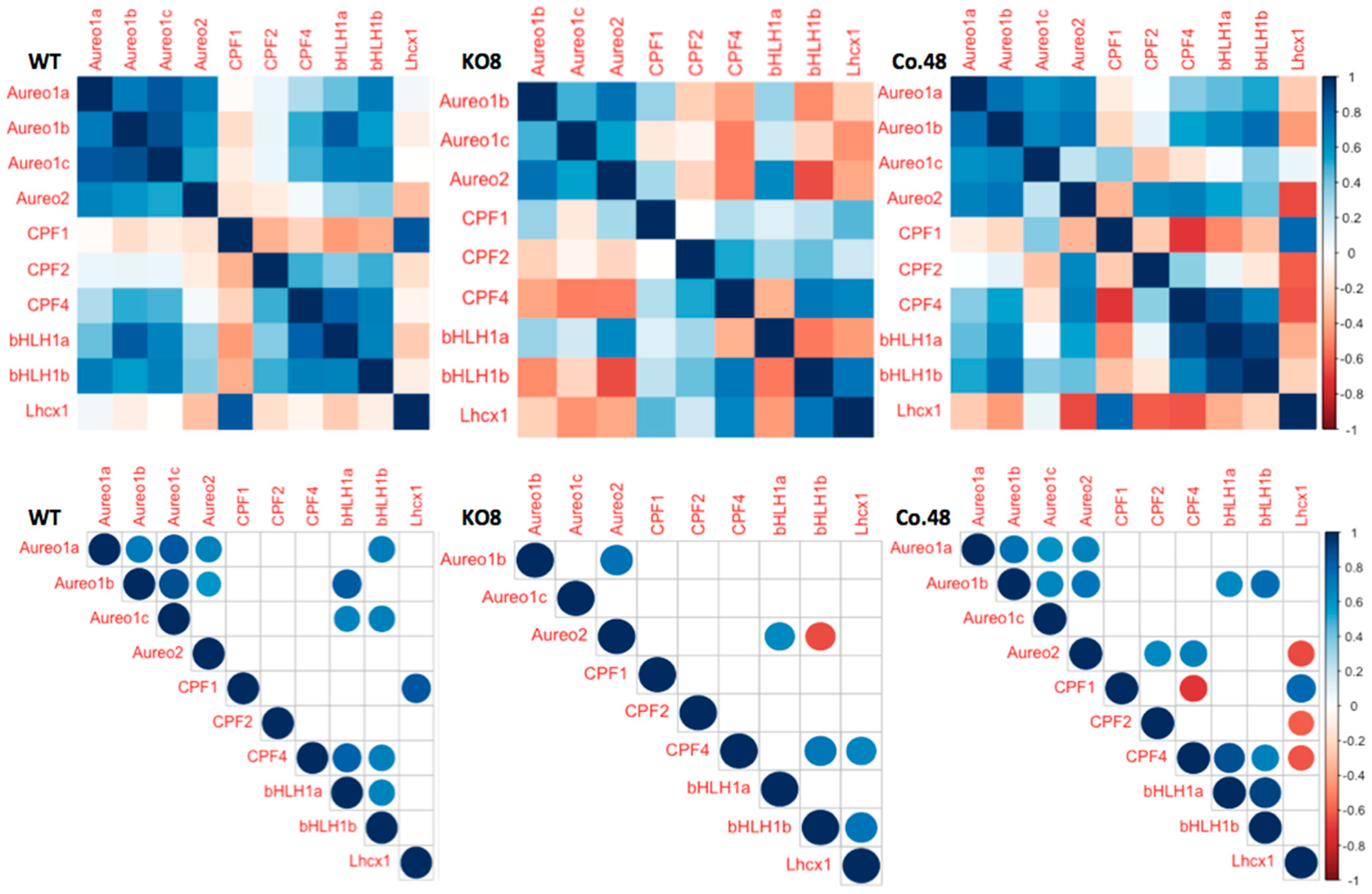 Plants 13 01465 g003