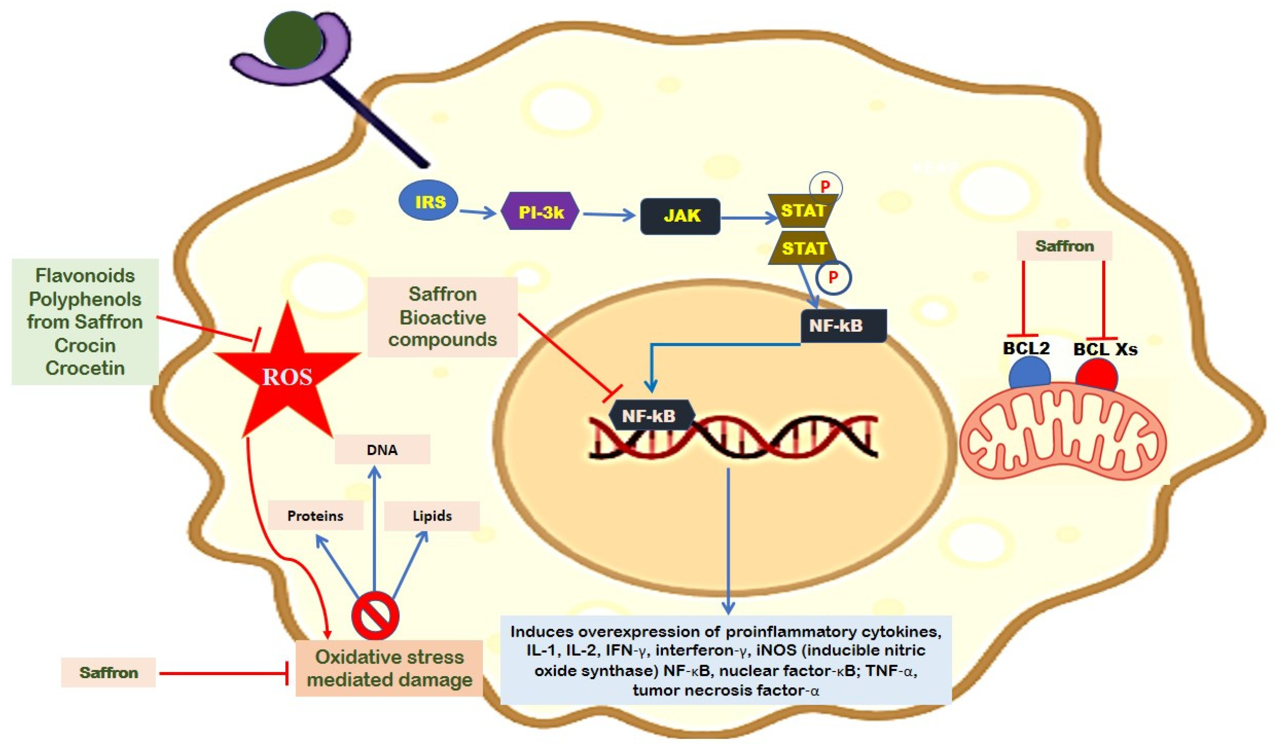 Plants 13 01467 g002