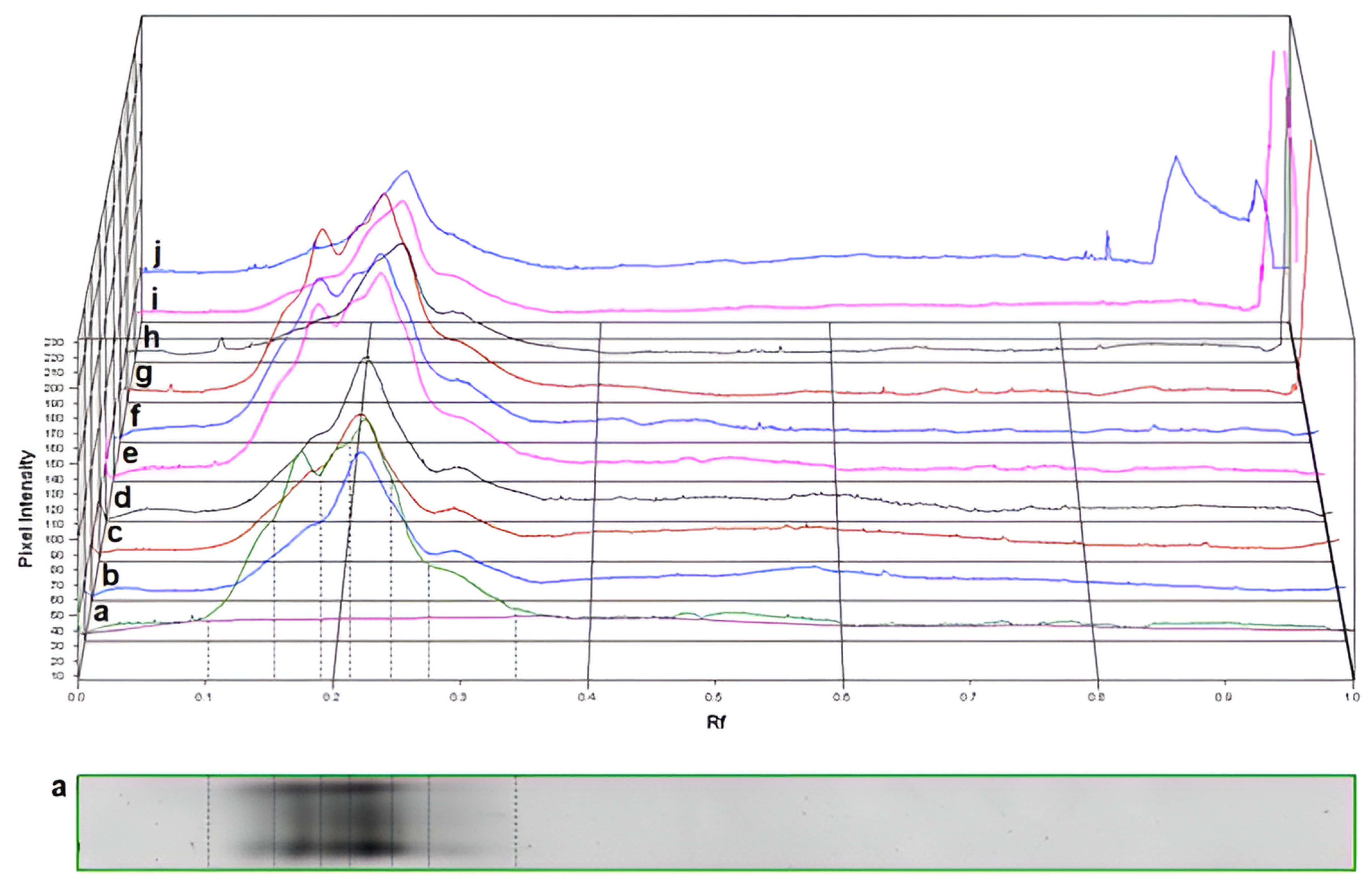 Plants 13 01470 g006