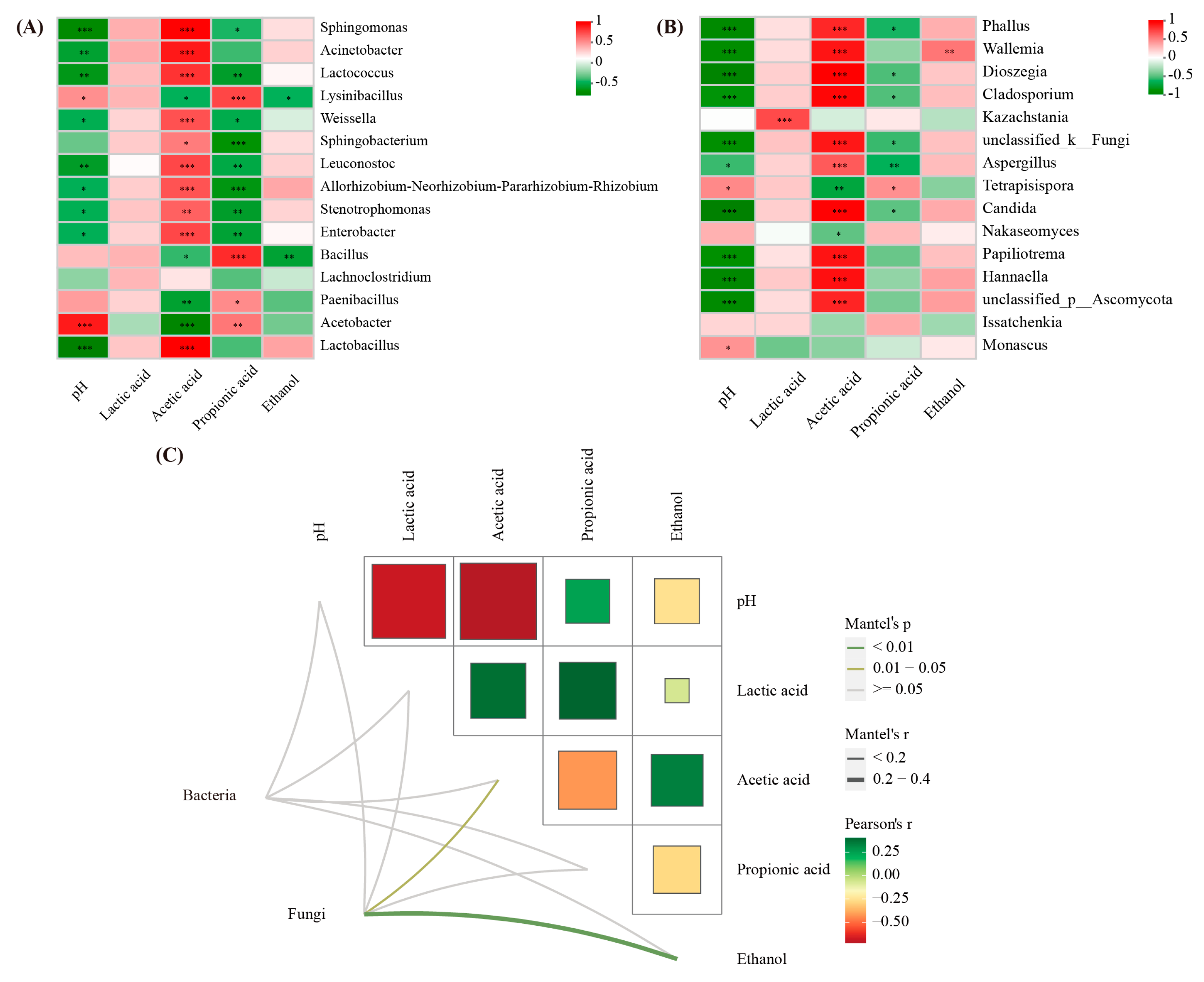 Plants 13 01471 g008
