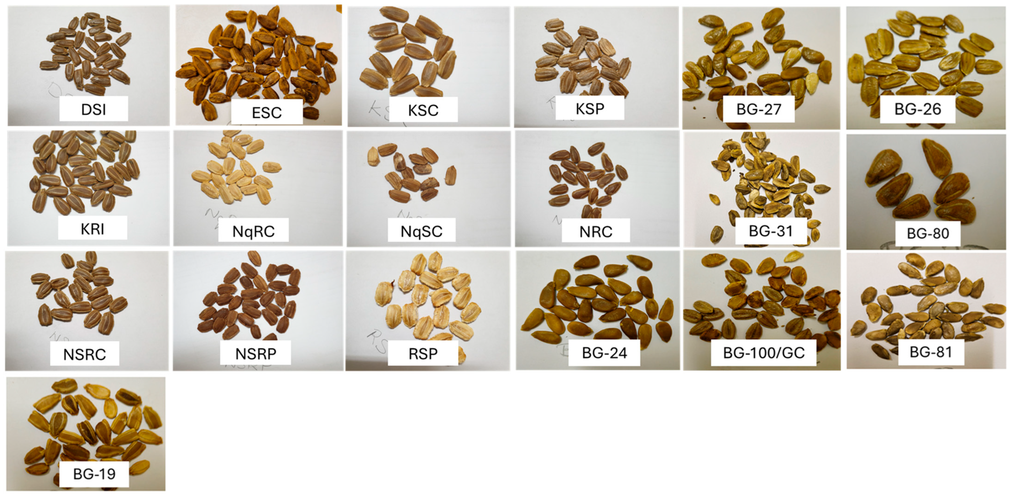 Plants 13 01475 g002 Plants 13 01475 g002