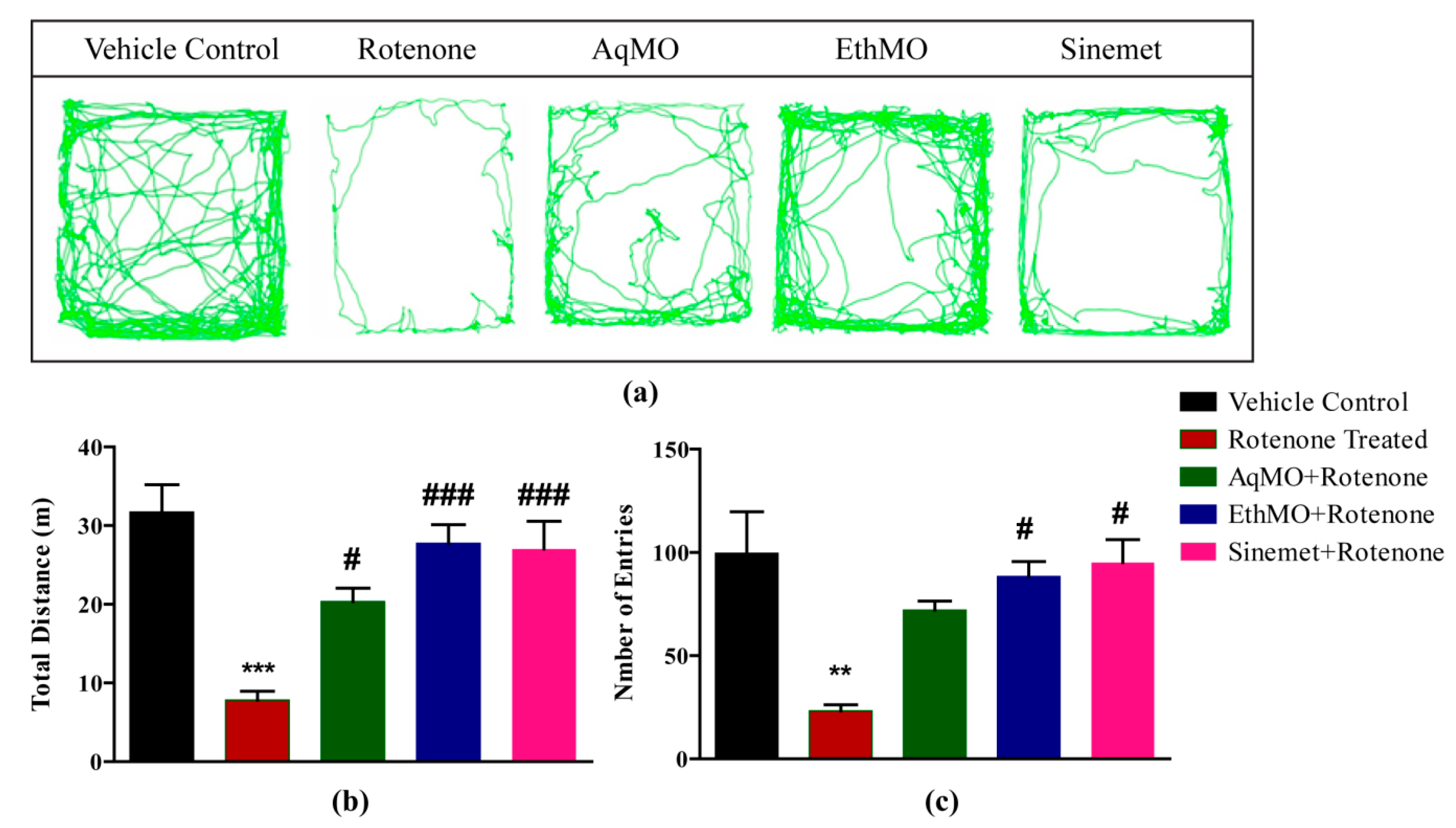 Plants 13 01479 g001