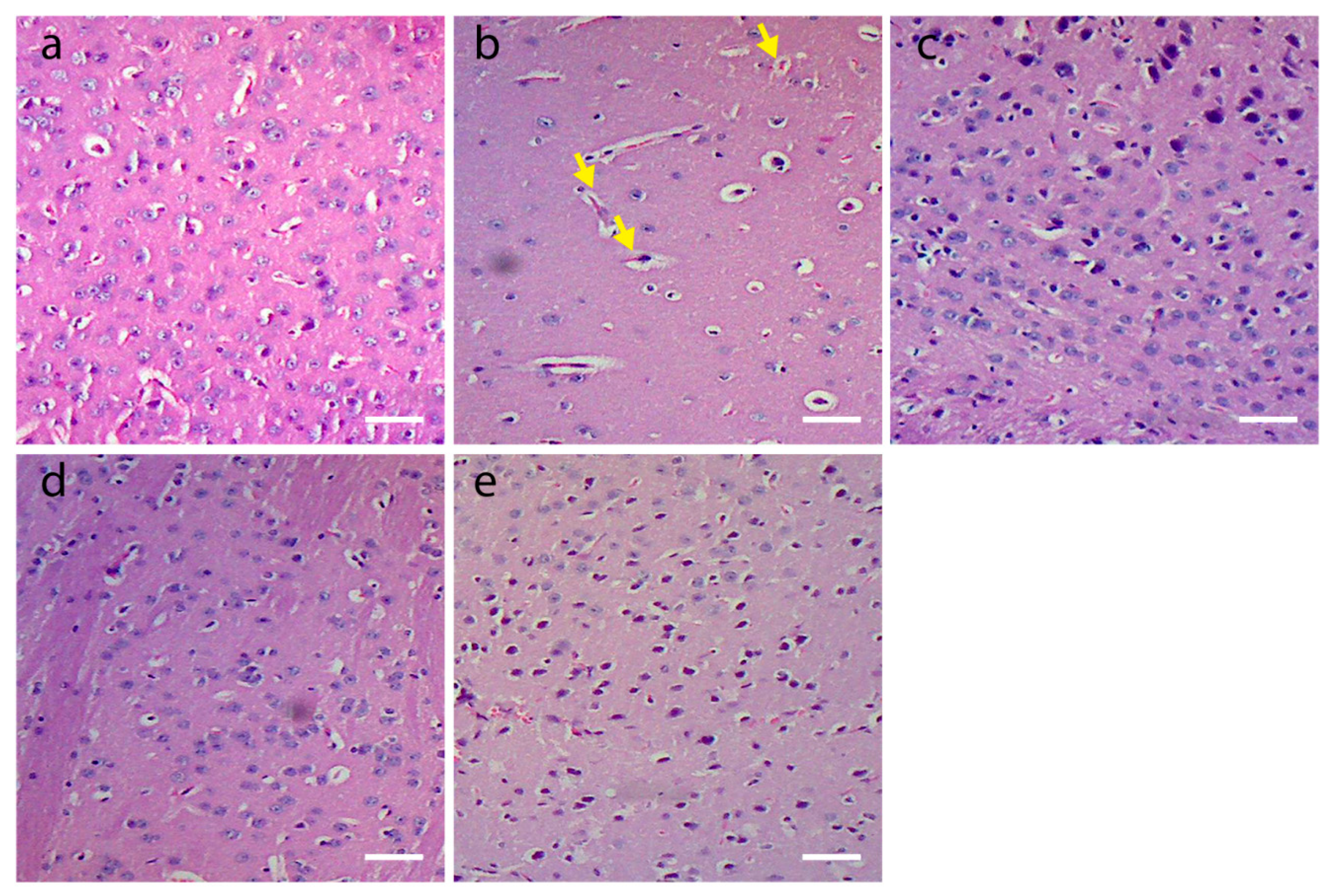 Plants 13 01479 g004