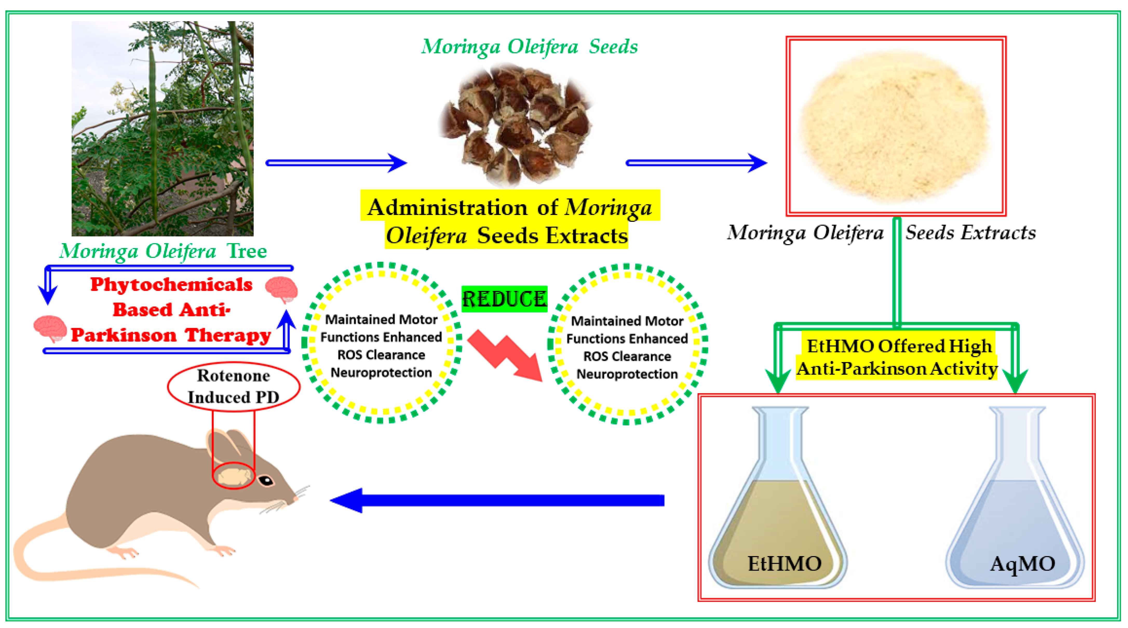 Plants 13 01479 sch001