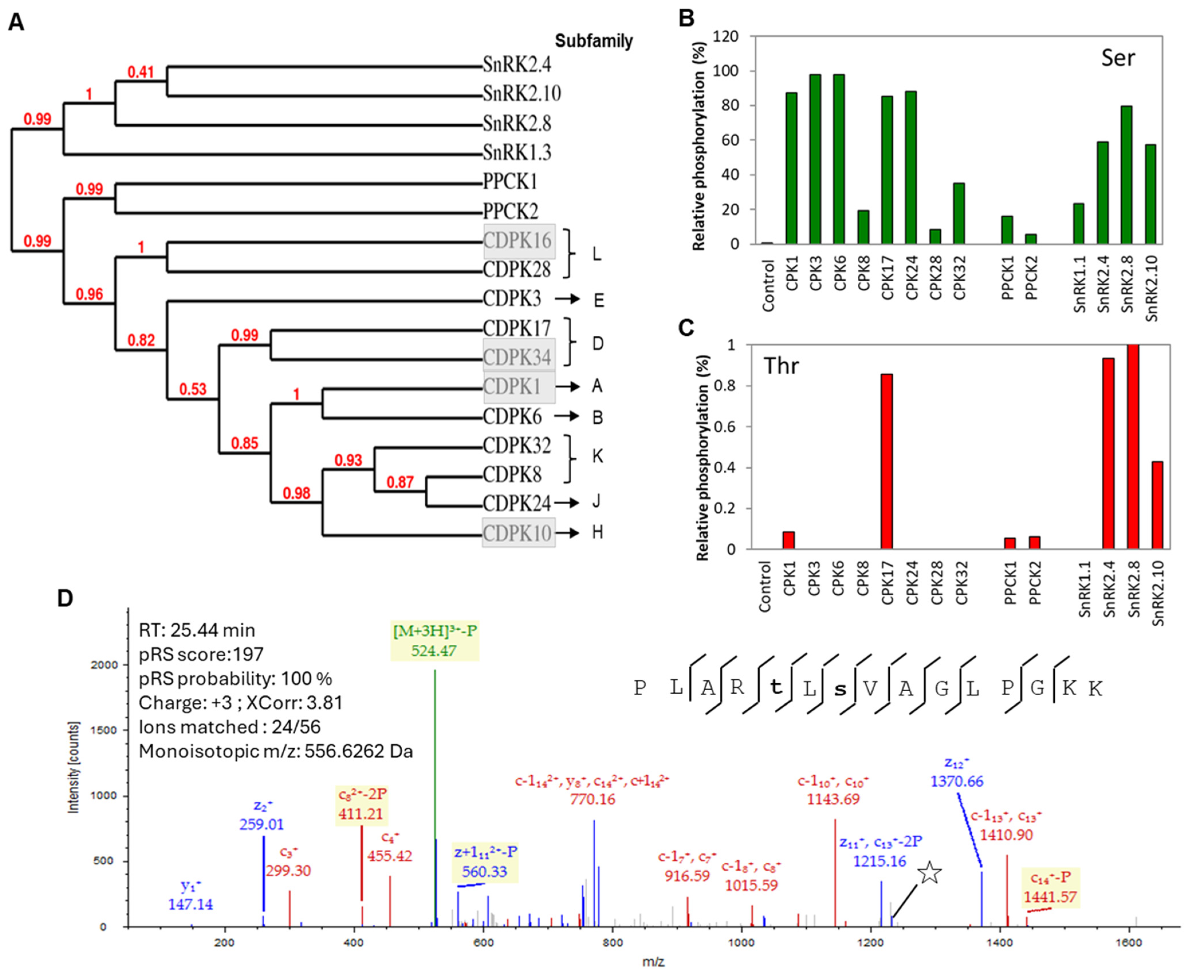 Plants 13 01481 g001