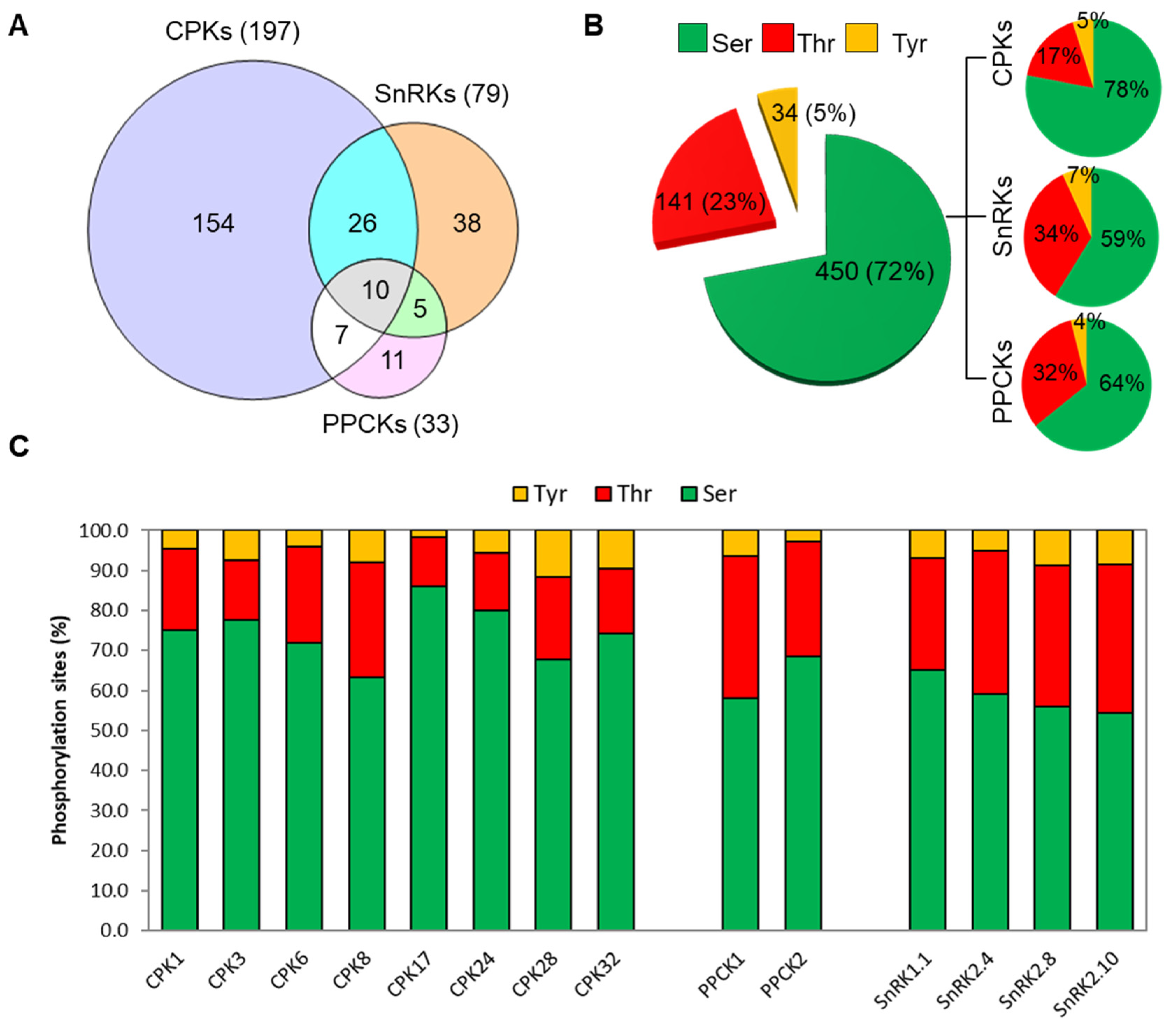 Plants 13 01481 g002