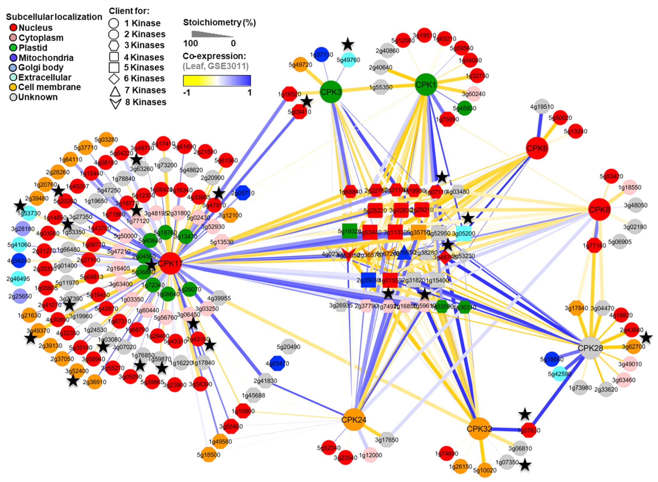 Plants 13 01481 g003