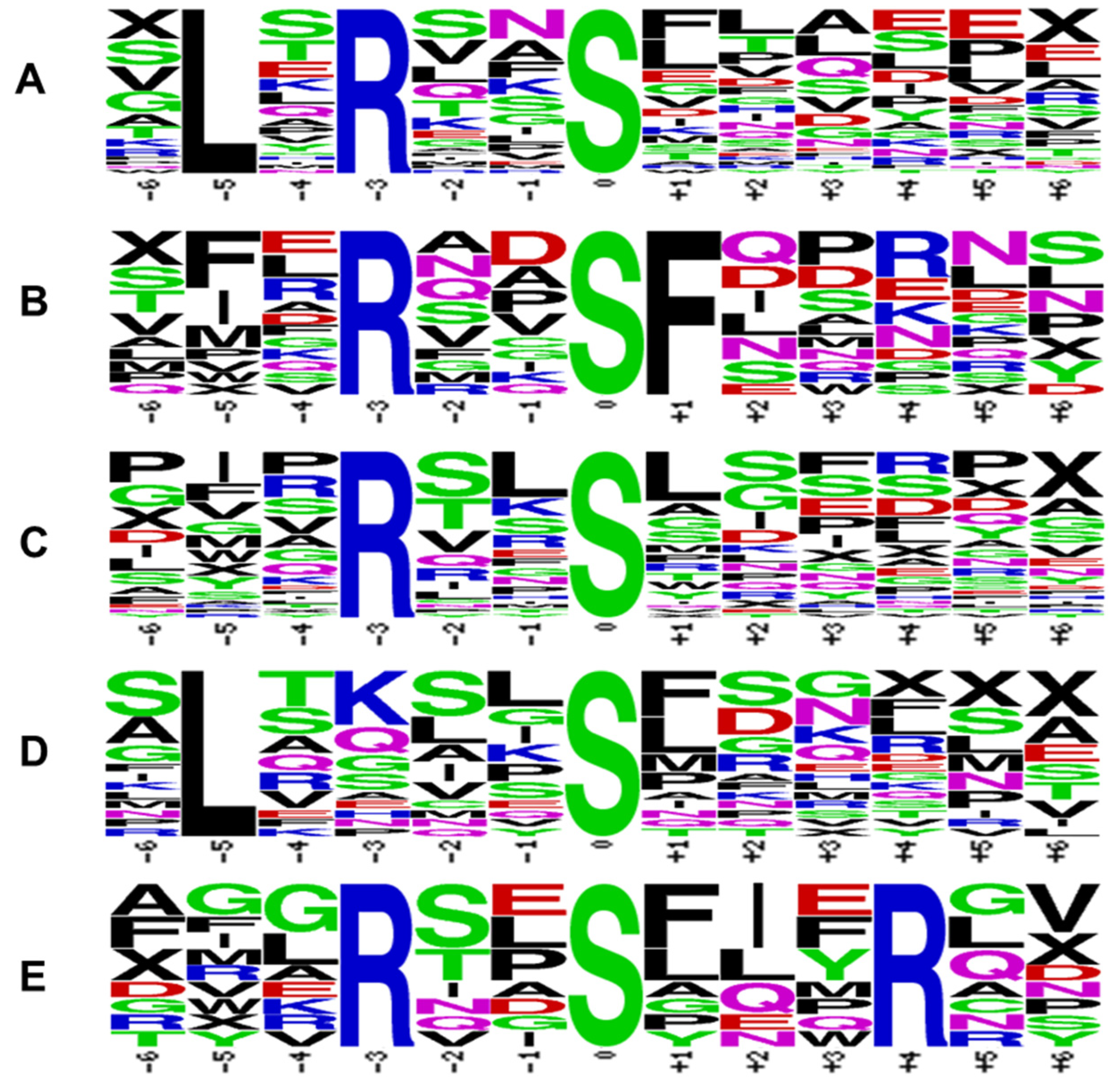 Plants 13 01481 g004