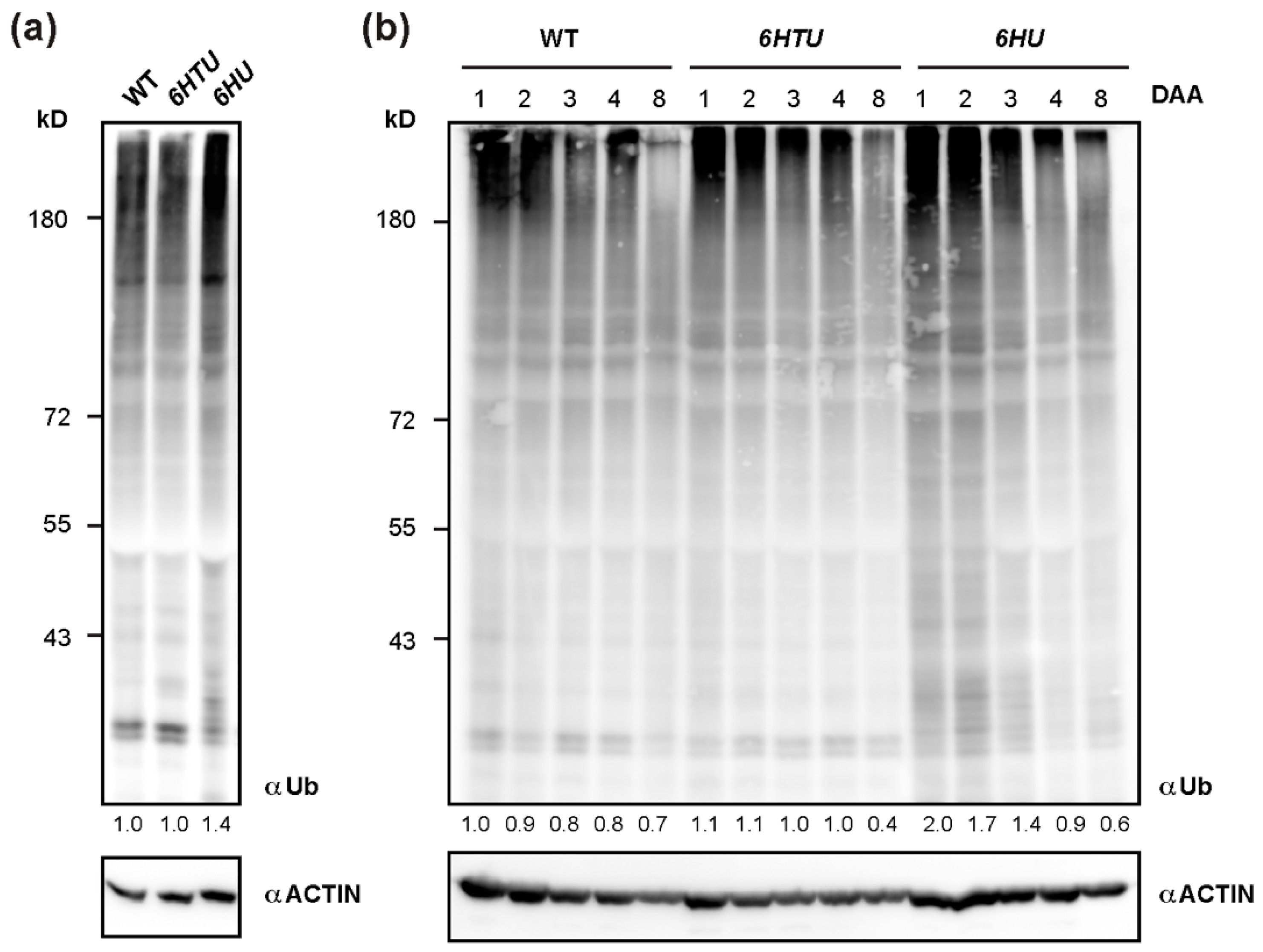 Plants 13 01485 g003