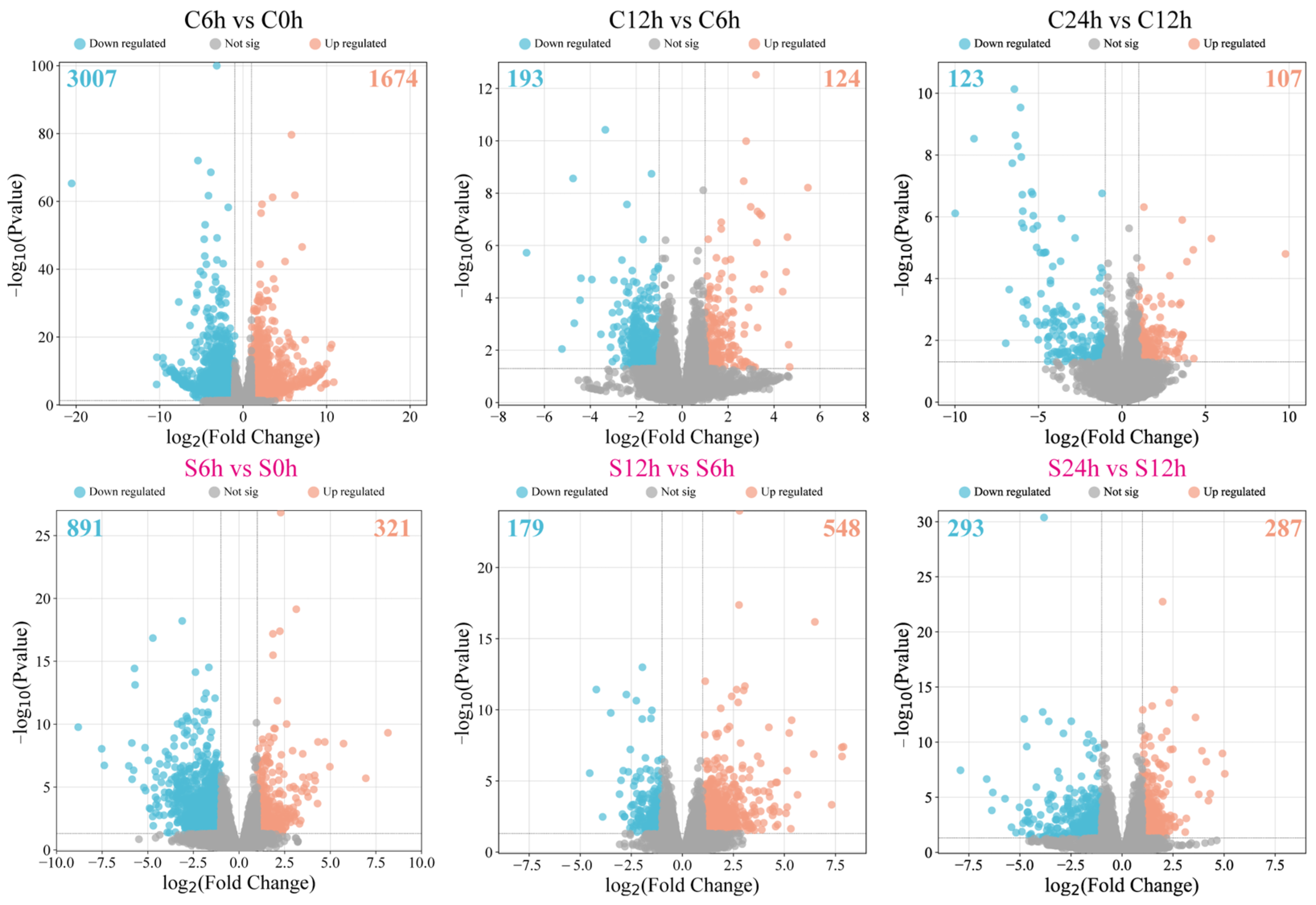 Plants 13 01487 g002