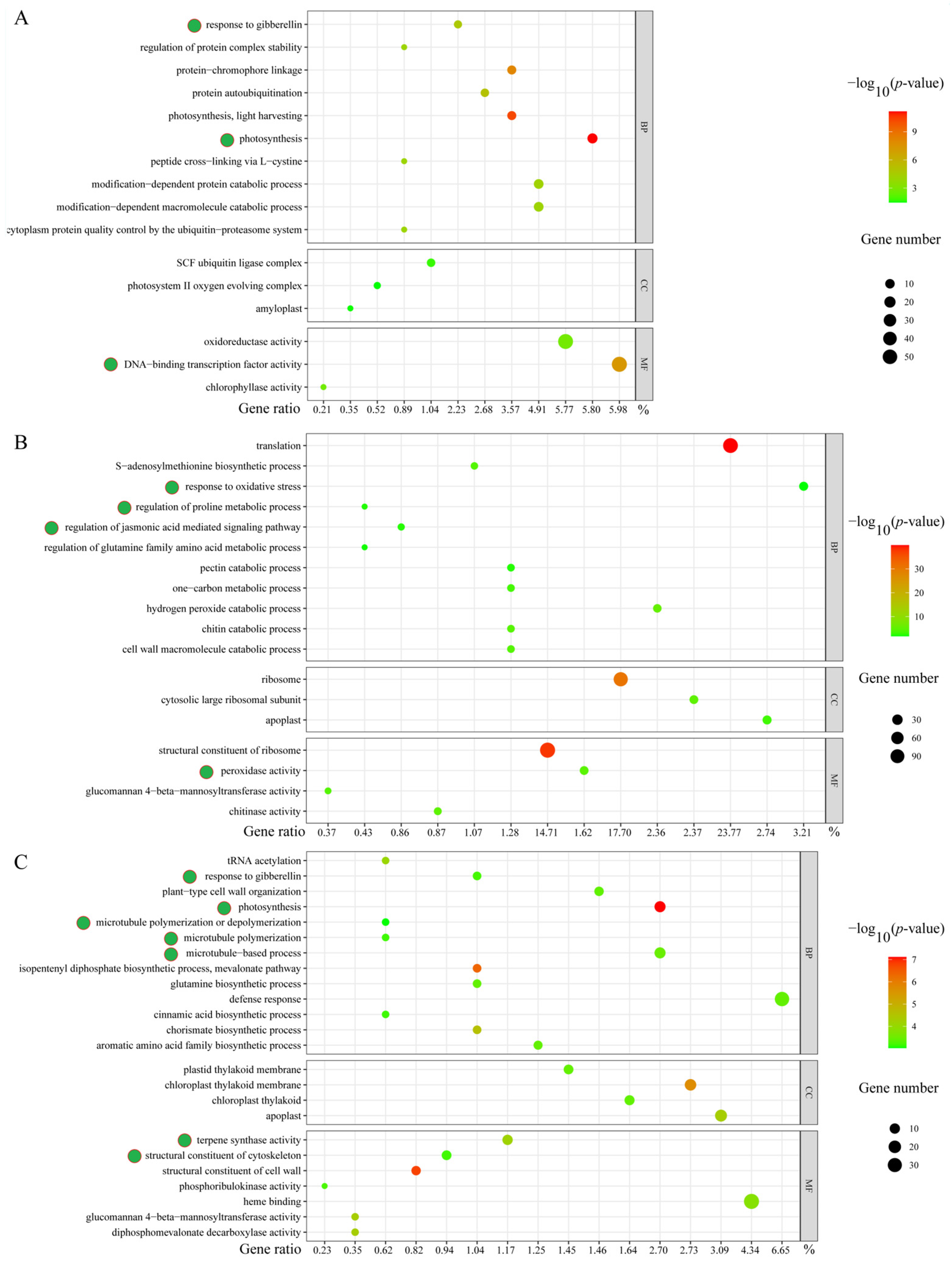 Plants 13 01487 g004