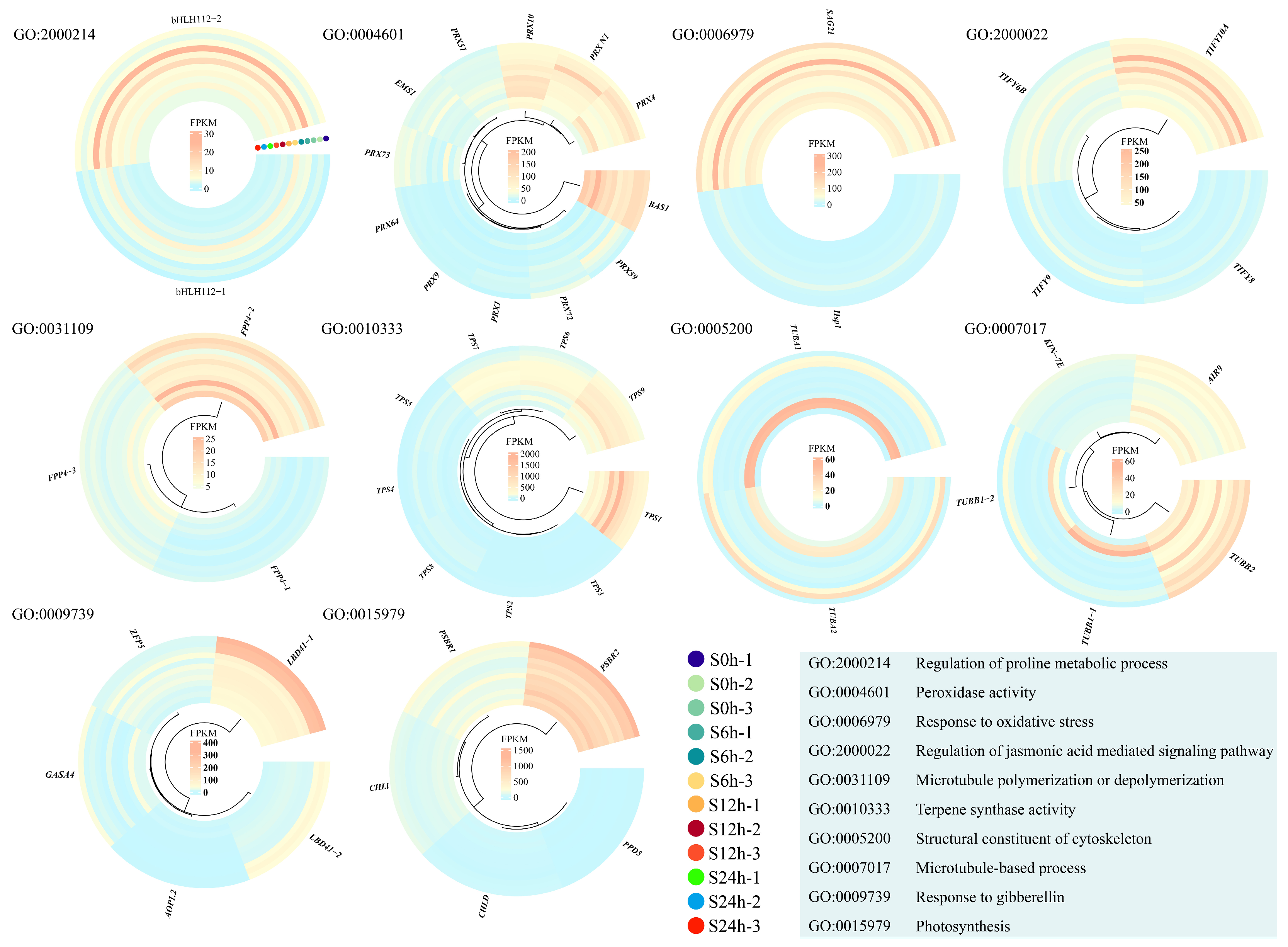 Plants 13 01487 g005