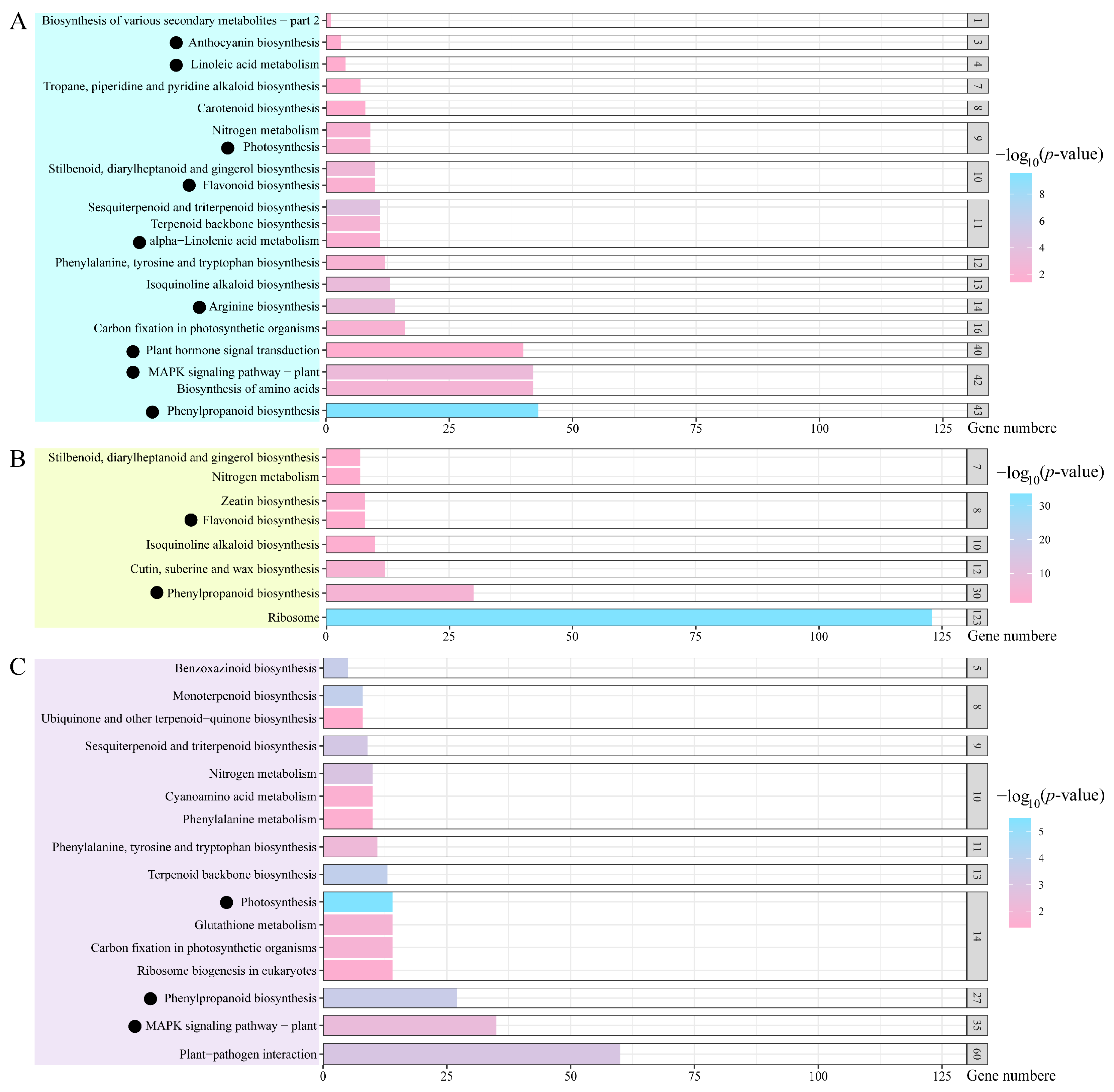 Plants 13 01487 g006