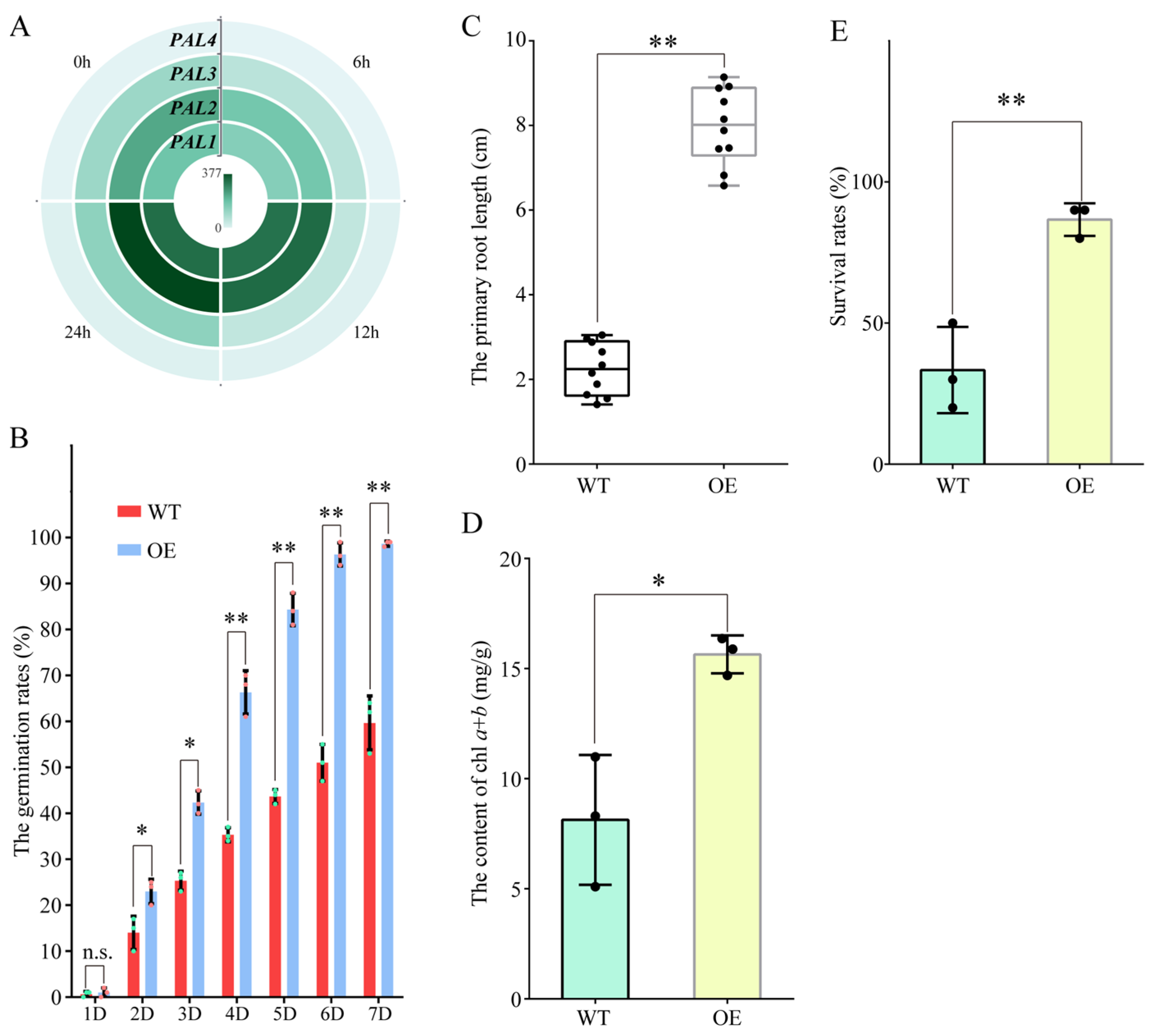 Plants 13 01487 g007